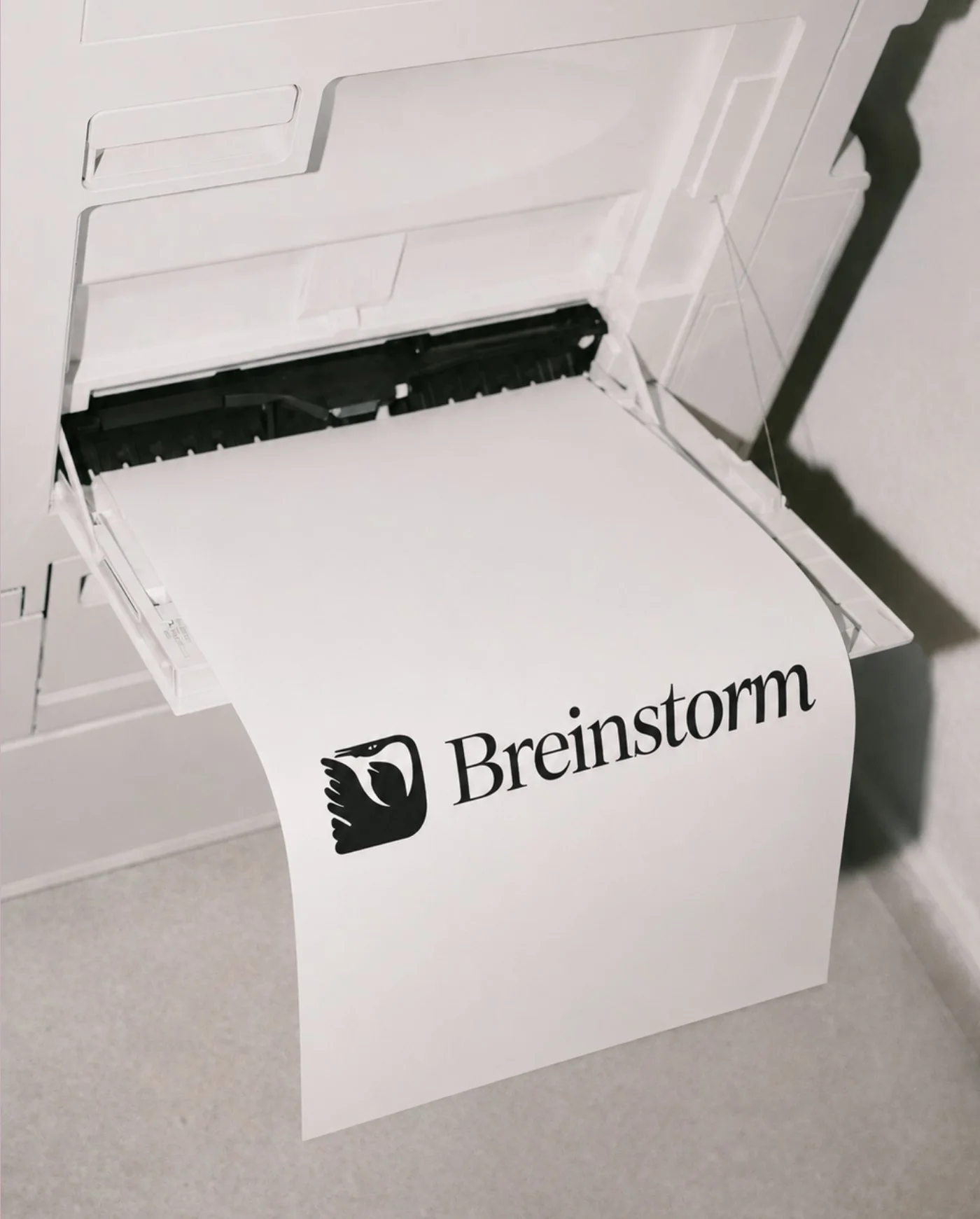 Breinstorm_CASE – 10.jpg