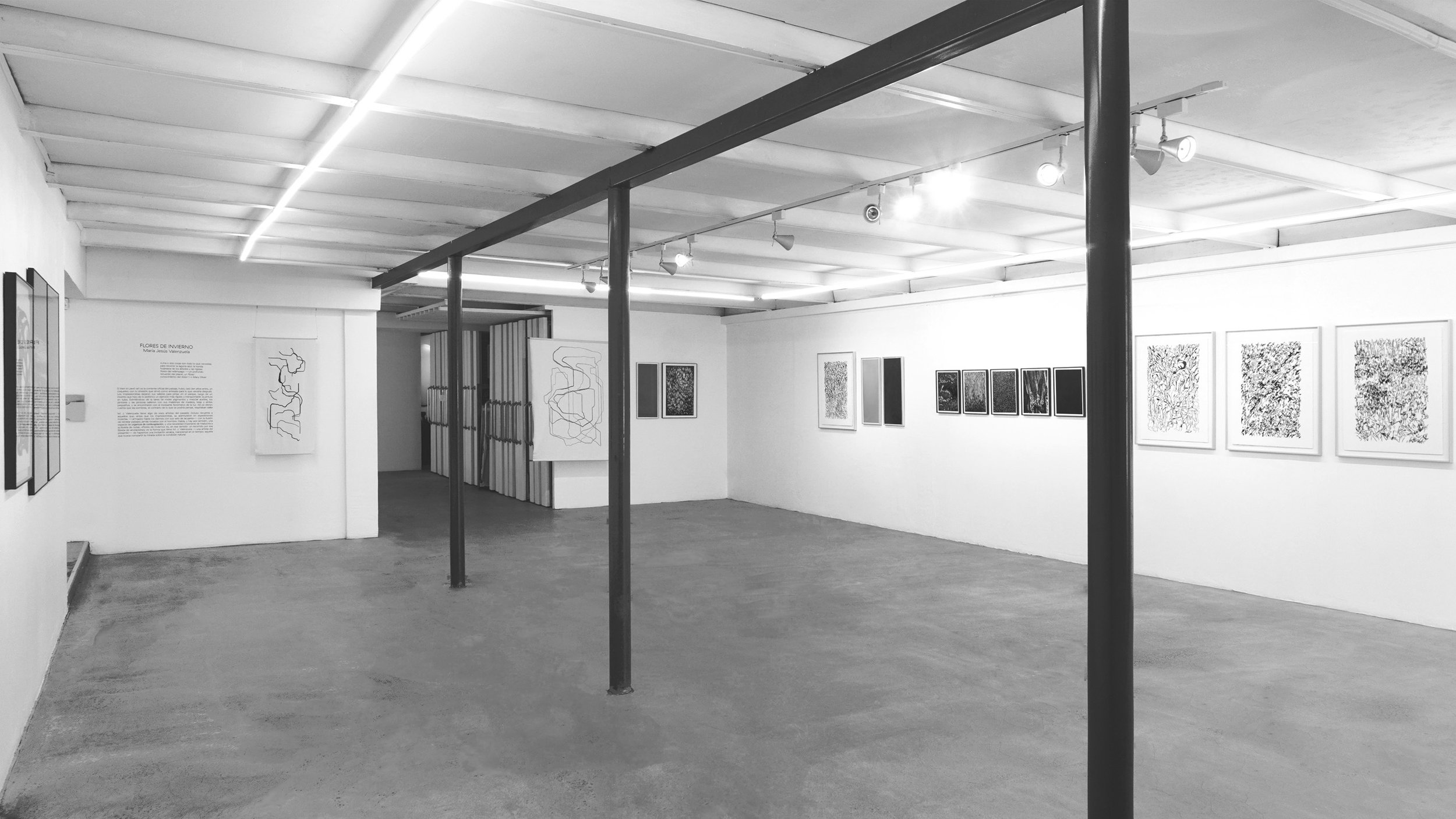 Solo Show Galería NAC Maria Valenzuela