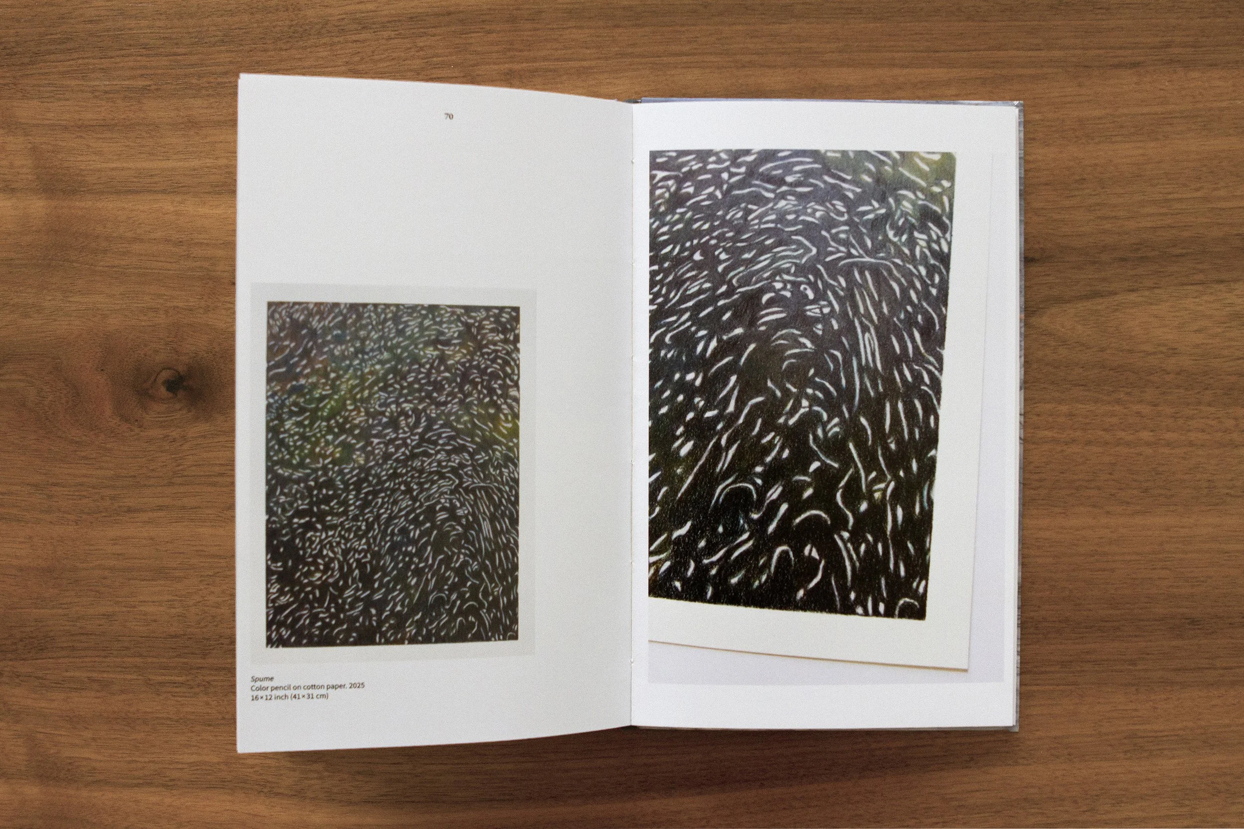 Open art book showcasing abstract black and white patterned artwork on cotton paper. Dibujos, espuma, agua, textura naturaleza. Arte gráfico. Galeria NAc. María Valenzuela