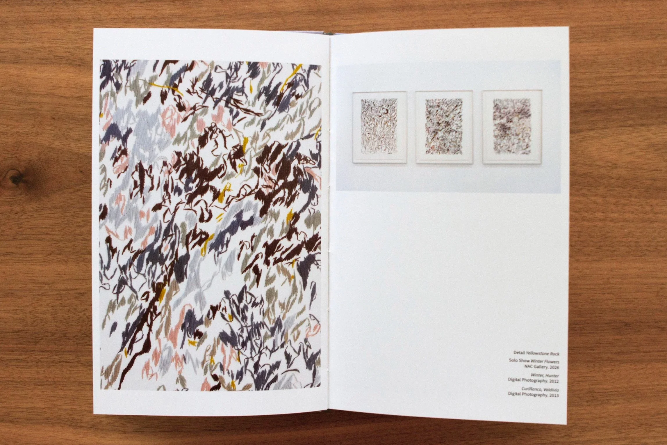 Open booklet on a wooden surface showing abstract artwork with colorful, expressive brush strokes and a list of art details including titles, dates, and artists.