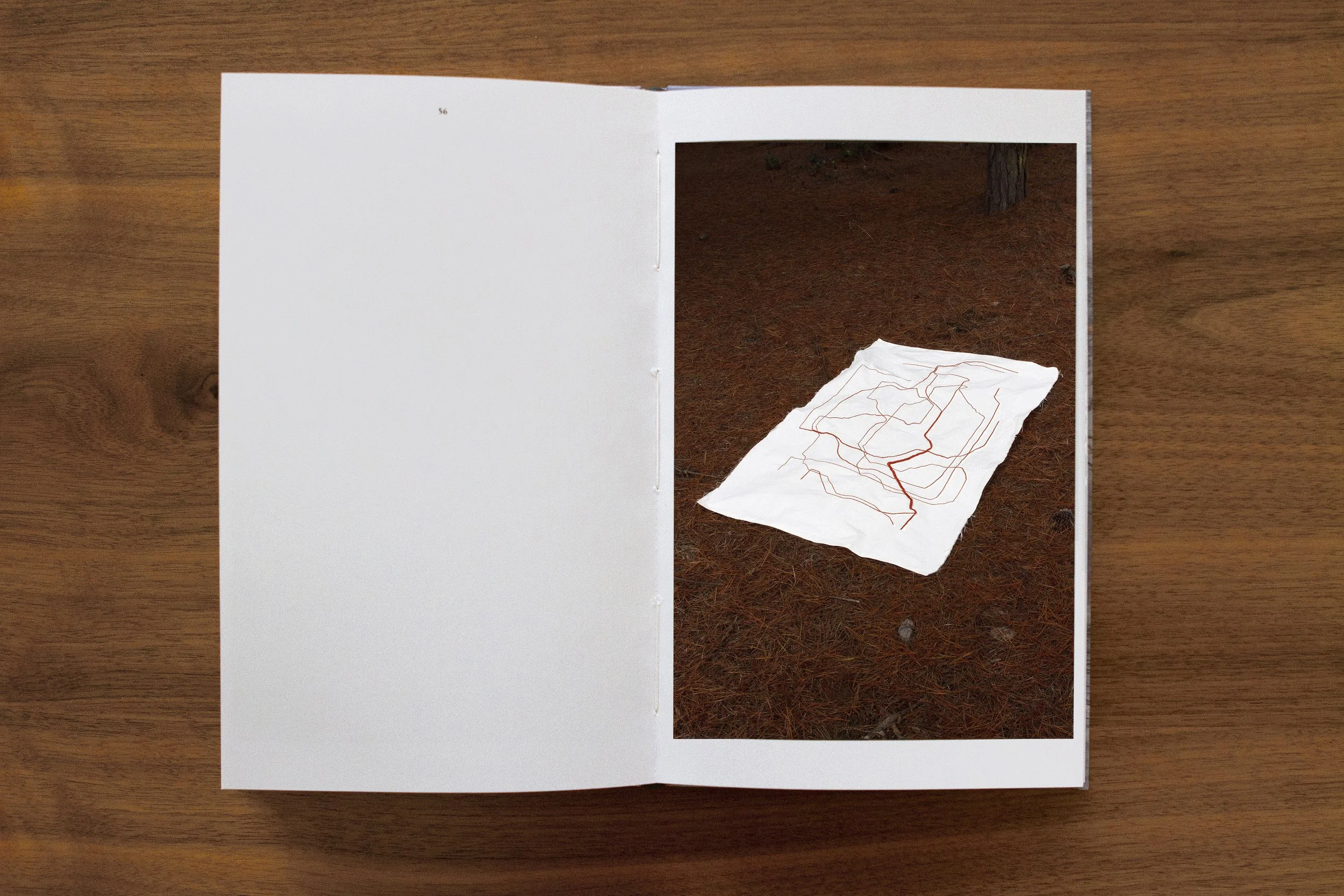 Art book. Photograph of a forest floor with a crumpled piece of cotoso fabric that has a red line drawing of a maze or path. Photographs of tree branches, laid on a wooden surface. Landscape. Art work. Fabric. Embroidery Art