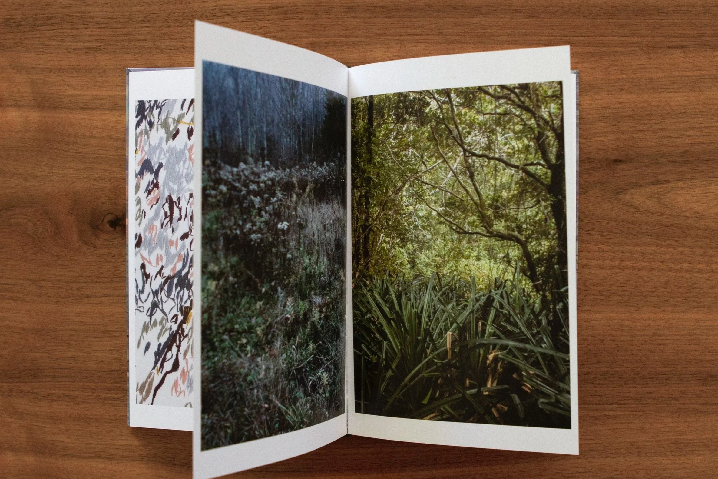An open photo book on a wooden surface showing images of nature, including trees, plants, and a forest scene. CATALOG WINTER FLOWERS / Landscape photography. Fotografía de paisajes.. Bosques. Woods.