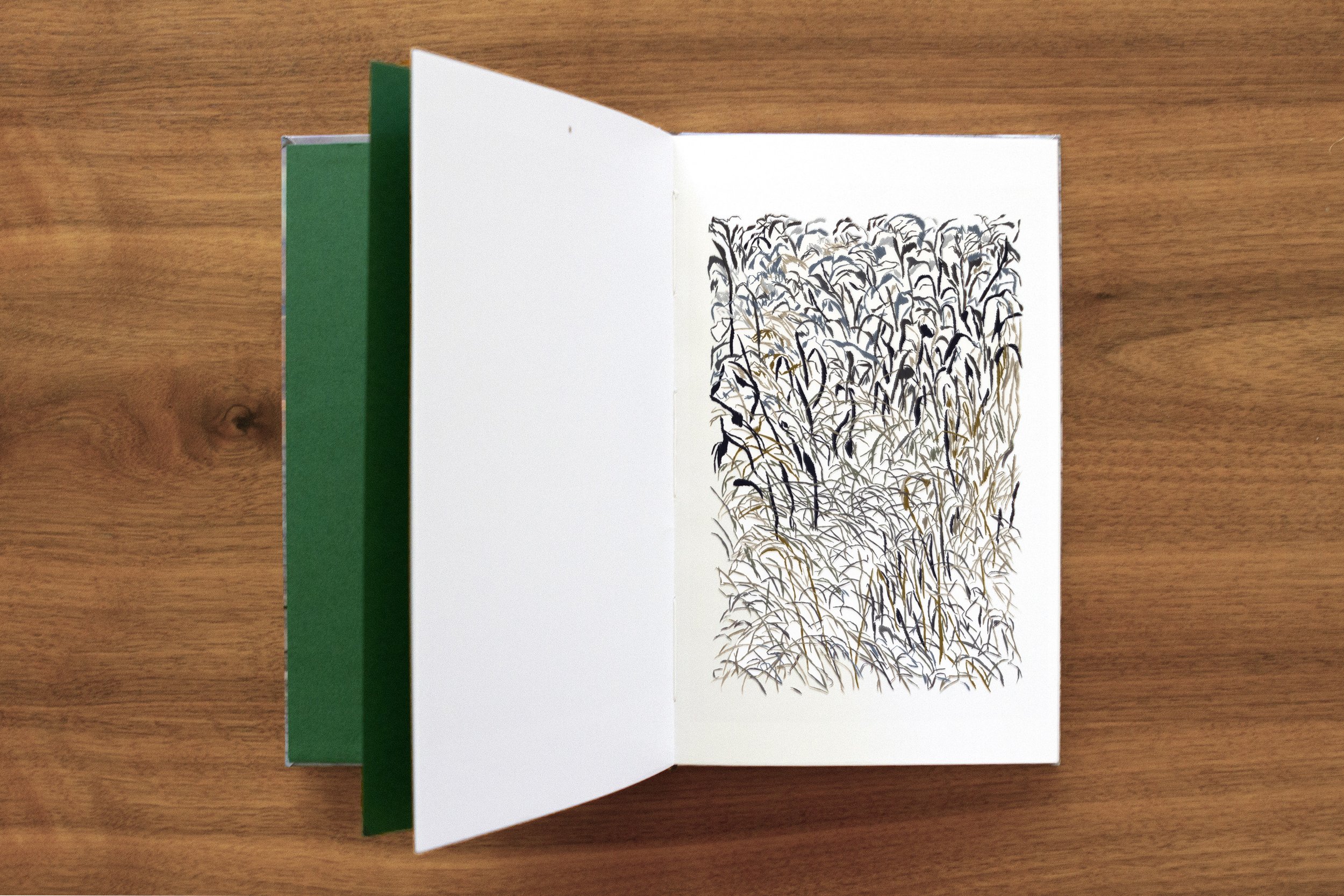 Open book with botanical illustrations. Embroidery catalog. CATALOG WINTER FLOWERS / FLORES DE INVIERNO , Solo Show at Nac Gallery / Santiago, Chile / 2026. Photography Maria Valenzuela. Fotografía Maje Valenzuela Vittini.