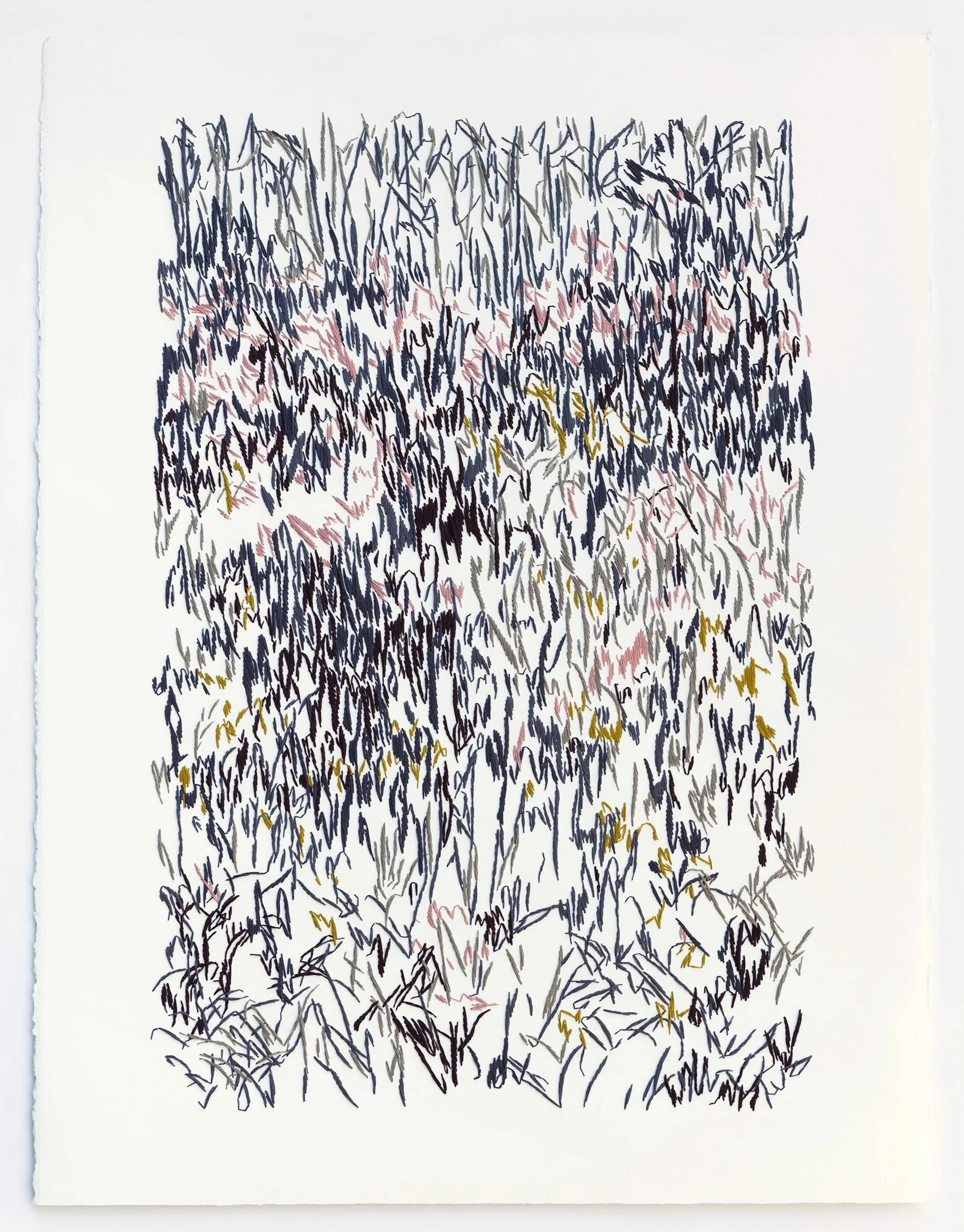 maría-valenzuela-vittini-embroidered-bordado-papel-textile art-embroidery-hilo bordado amano.jpg