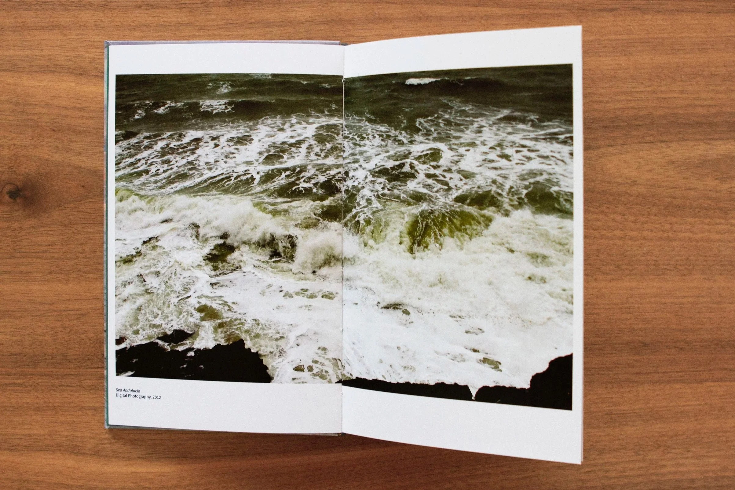 Photograph of  sea waves in dark greenish waters. CATALOG WINTER FLOWERS / FLORES DE INVIERNO , Solo Show at Nac Gallery / Santiago, Chile / 2026. Photography Maria Valenzuela. Fotografía Maje Valenzuela Vittini. Paisaje, Landscape. Ocean, Sea, Mar