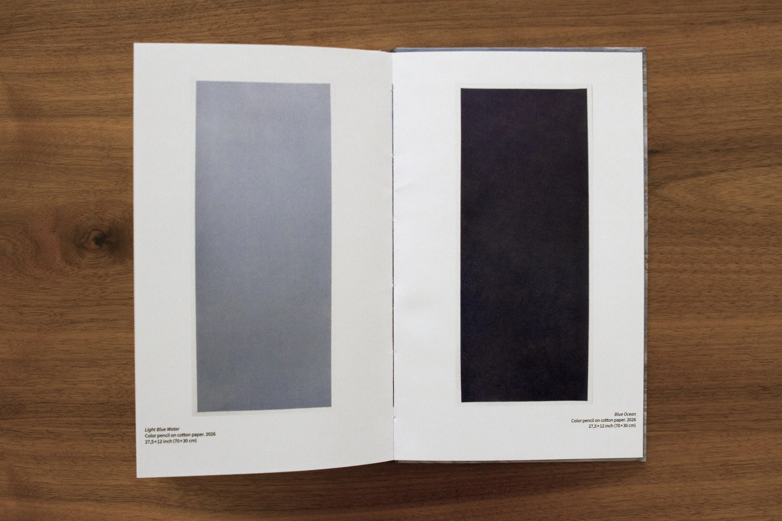 Open book with color samples labeled Light Blue Water on the left page and Blue Ocean on the right page, resting on a wooden surface.