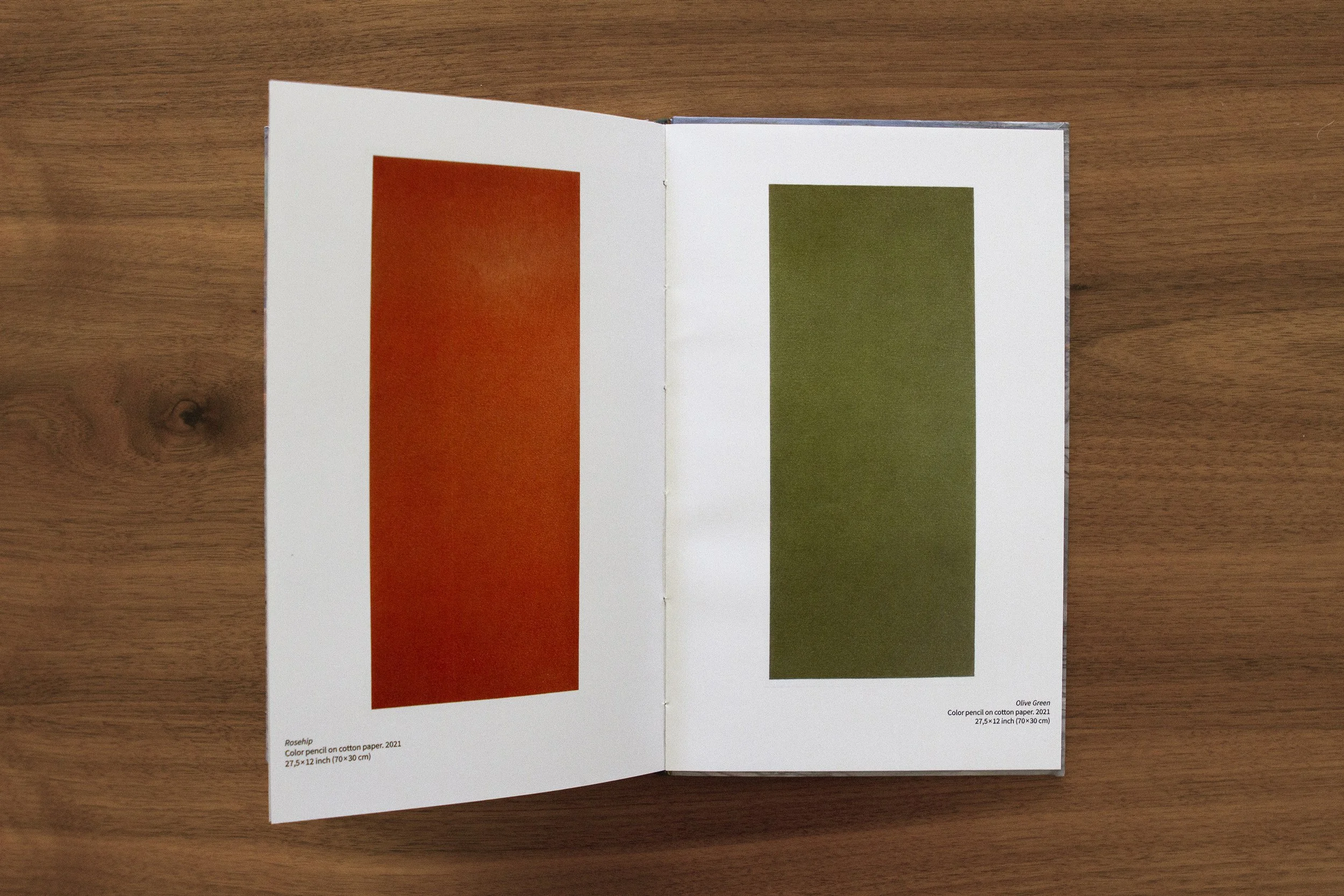 Open book showing color samples of rosehip and olive green on white pages, placed on a wooden surface.