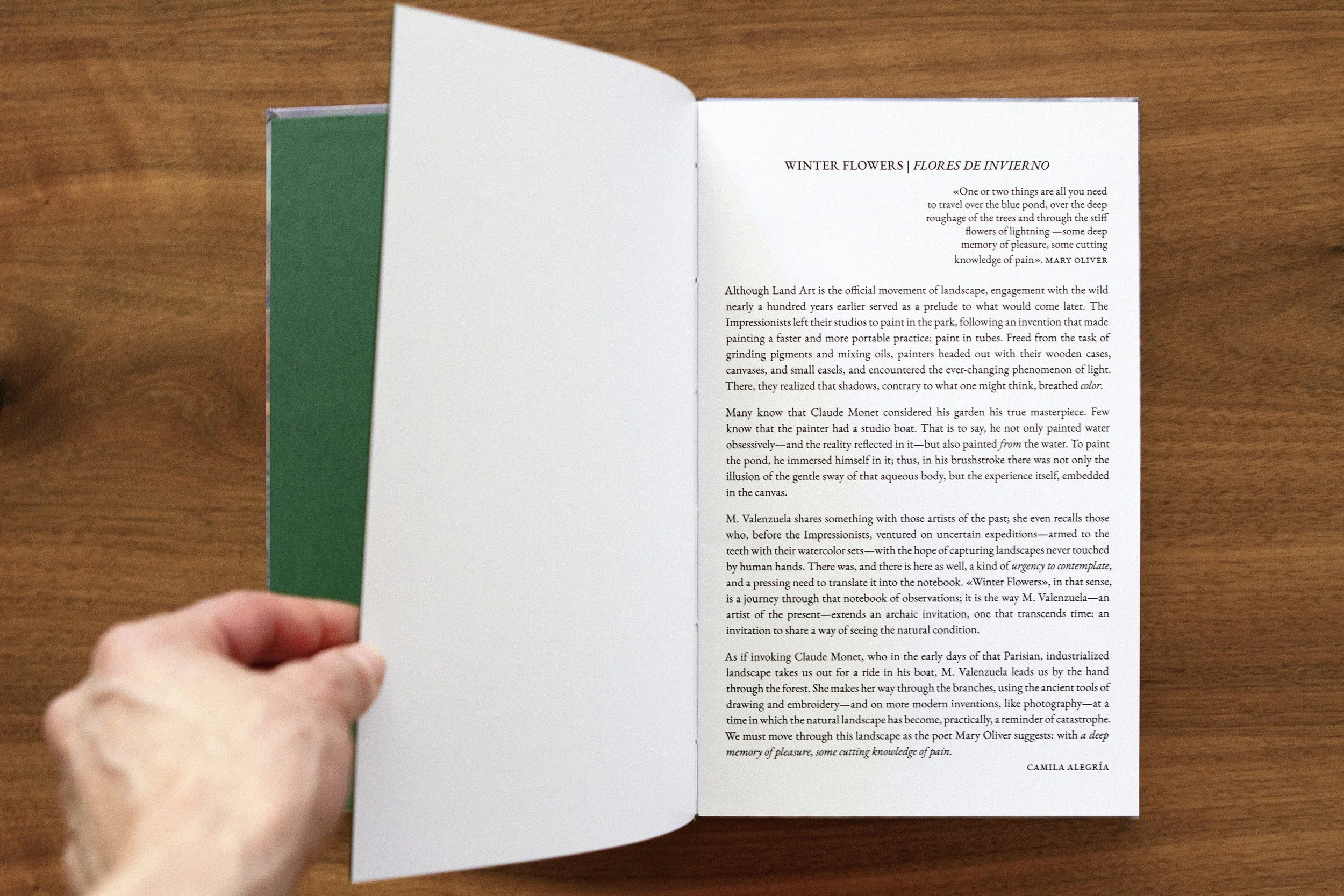 A person is holding open a book on a wooden surface, with the left page blank and the right page containing text about winter flowers, landscape art, and the painter Claude Monet. Camila Alegría texto. Artista Maria VAlenzuela solo show.