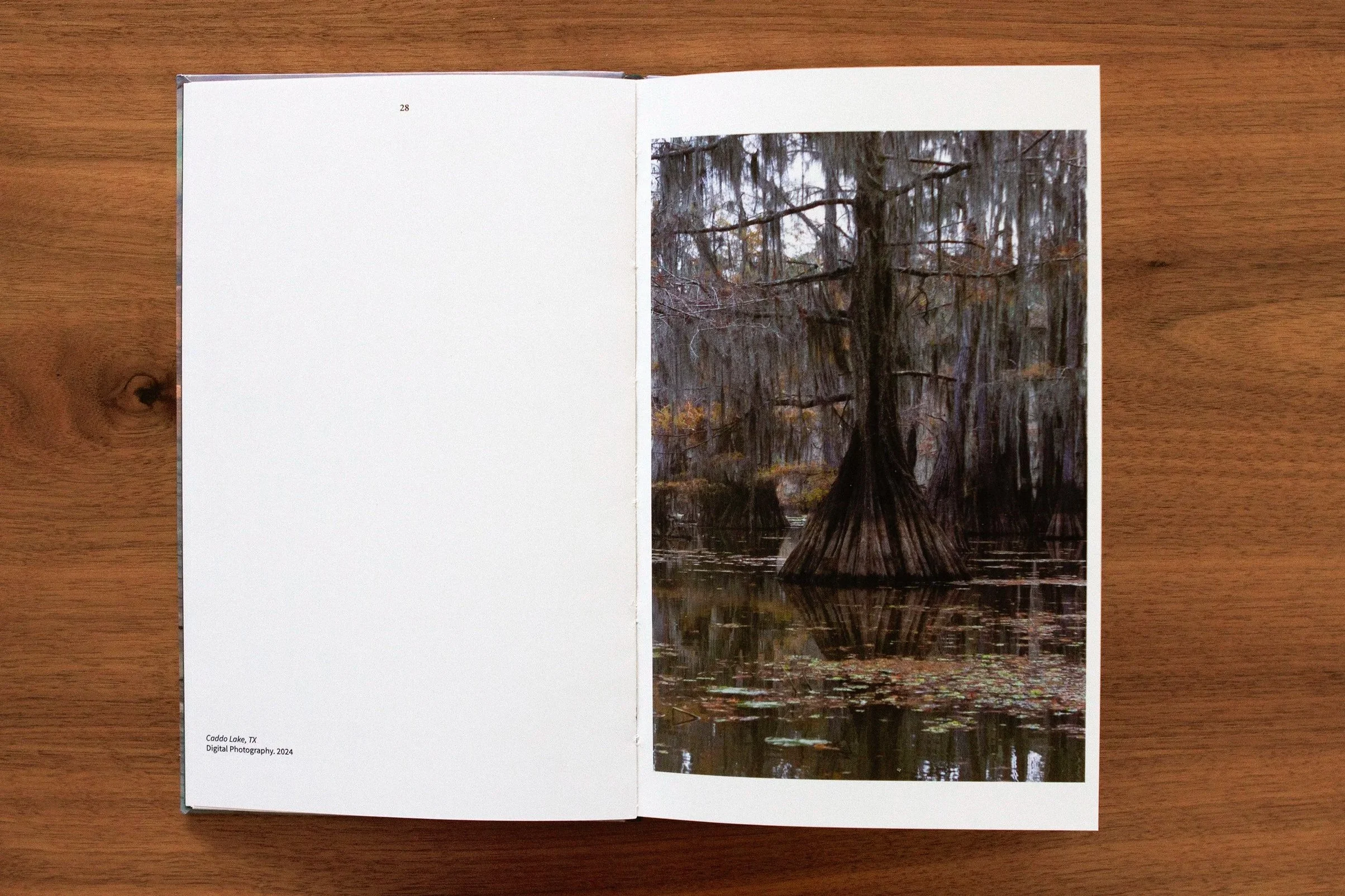 Open book with a photograph of Spanish moss hanging from trees over a body of water, with a caption indicating it is from Caddo Lake, Texas, 2024. Landscape photography. Fotografía paisaje. Fotografía Chilena.