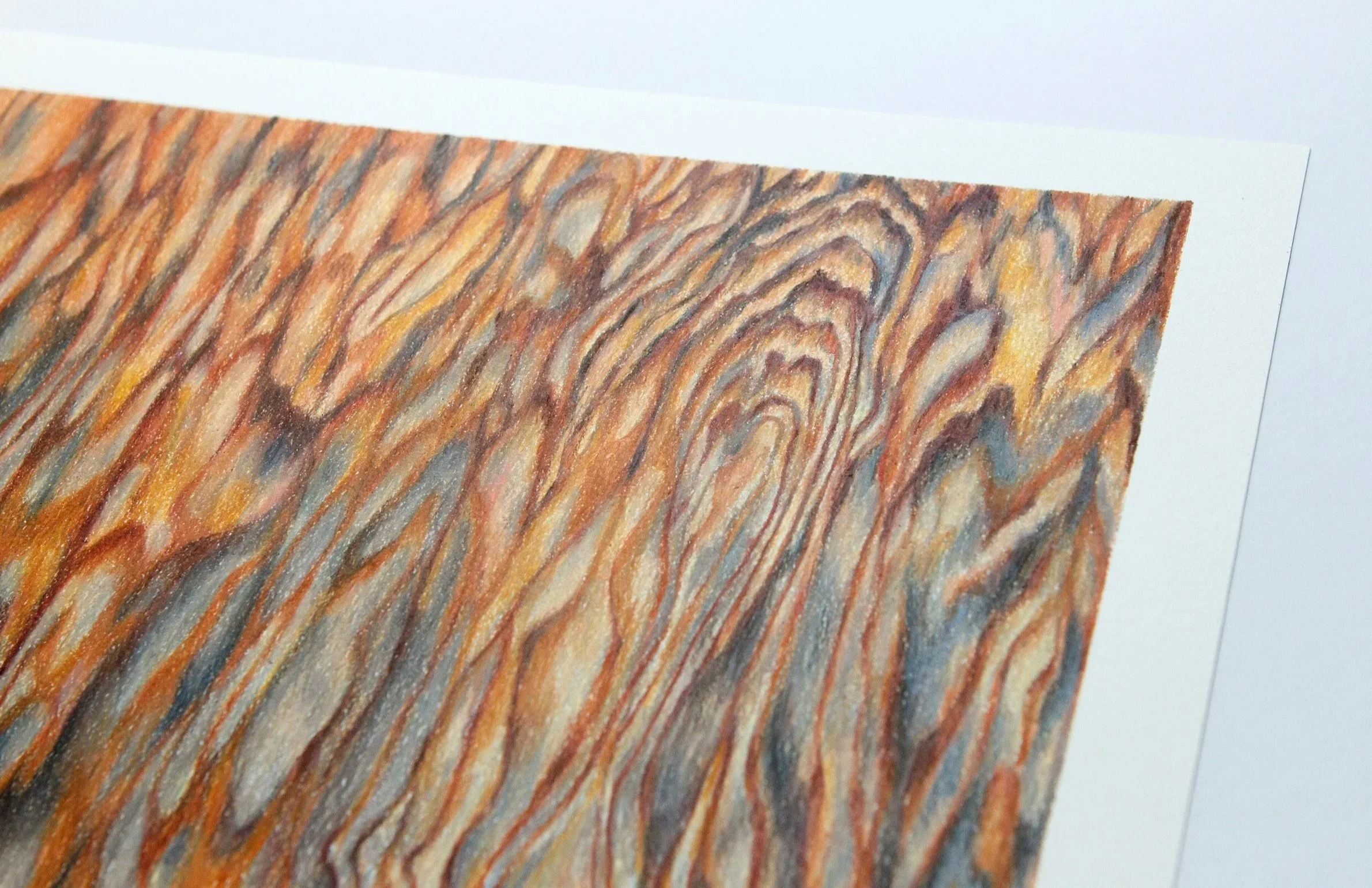 Maria-Maje-chilean-artist-colored-pencil-landscape-drawing-color.jpg