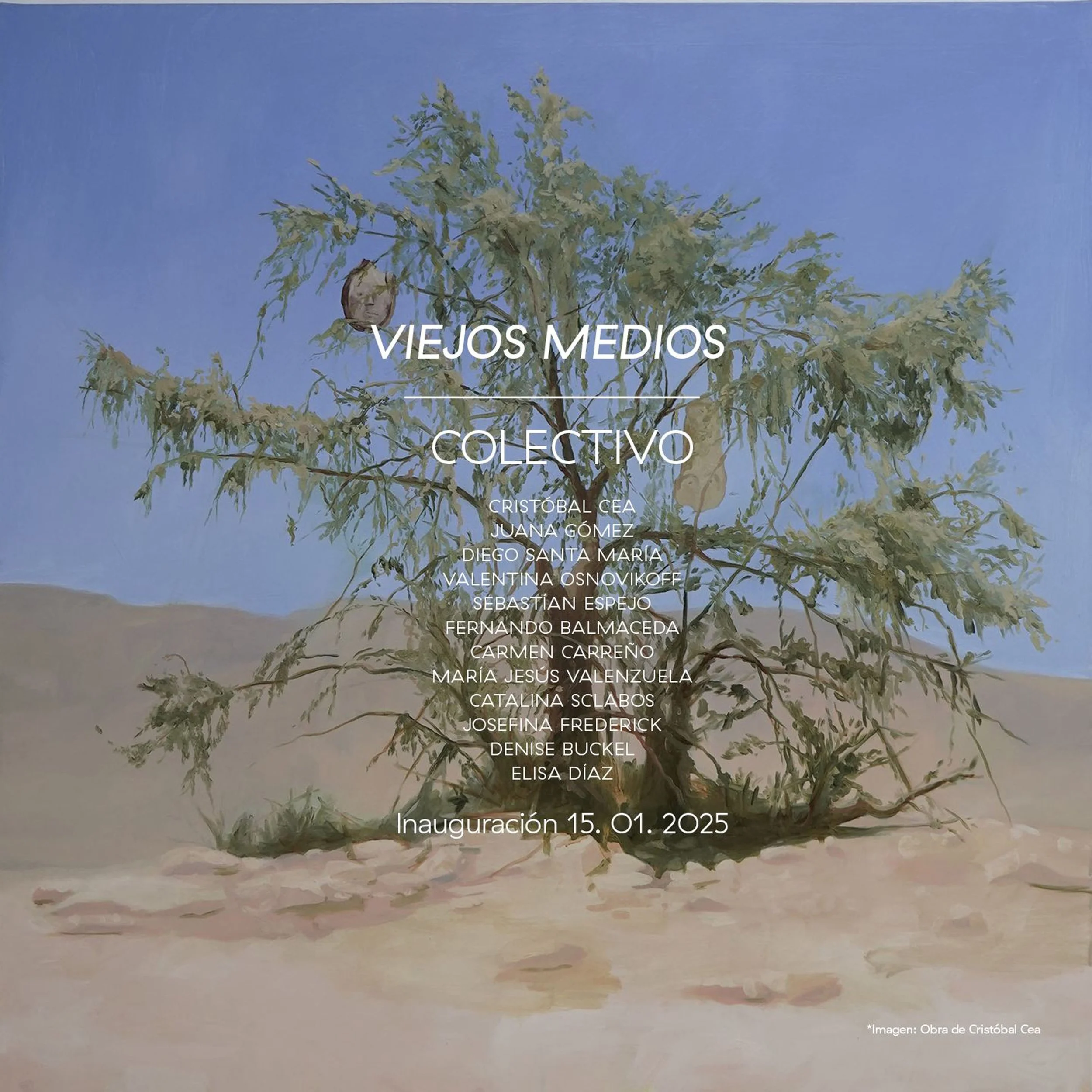 Group show Viejos Medios / Galeria NAC , Contemporary Artists Chile ; Arte contemporáneo Chile ; exposición colectiva artistas