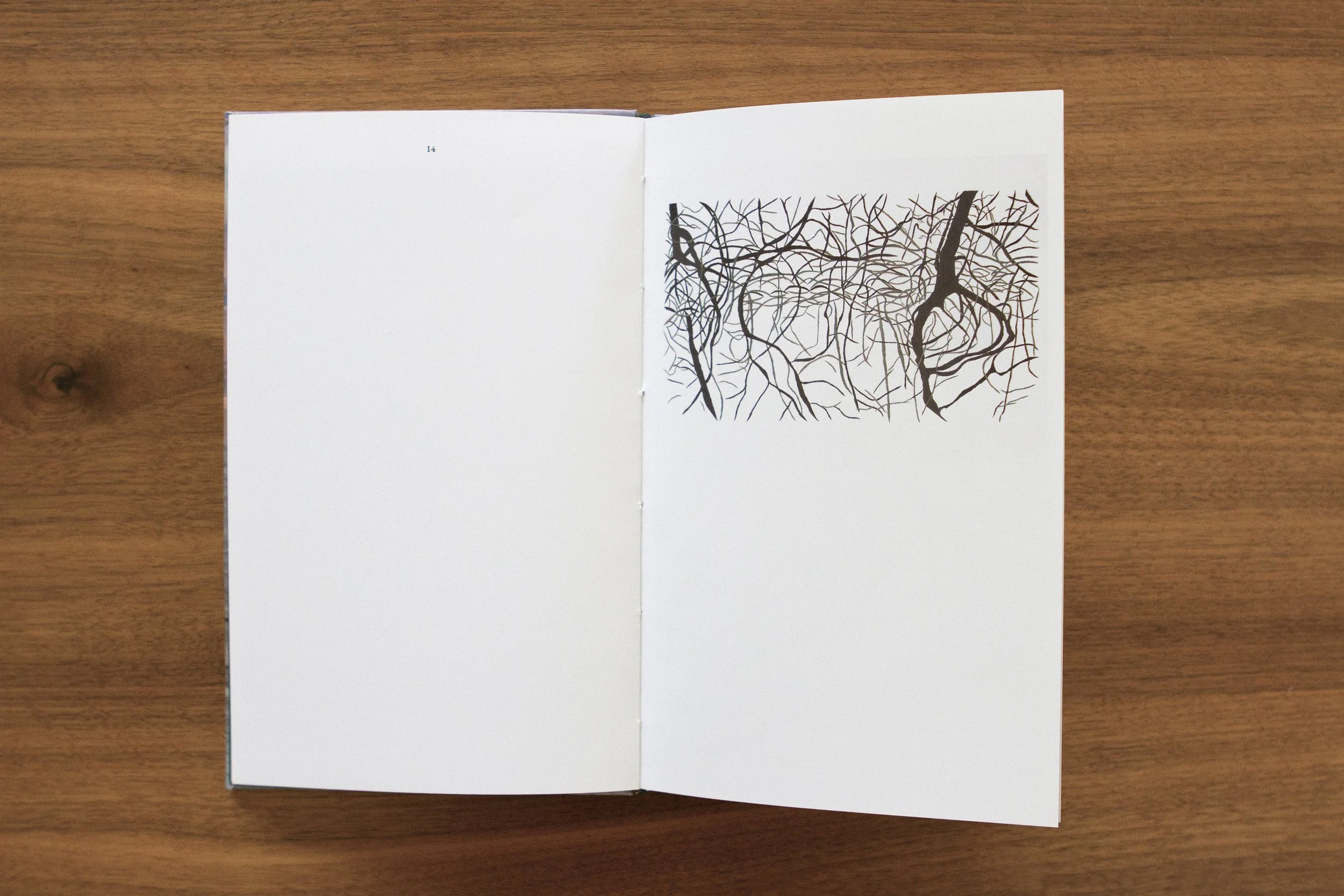 An open book on a wooden surface, showing a black and white illustration of tree branches on the right page, with the left page mostly blank. Manglar, Handmade embroidery on cotton paper / 30 x 23 inch / Frame silver aluminum + museum glass.