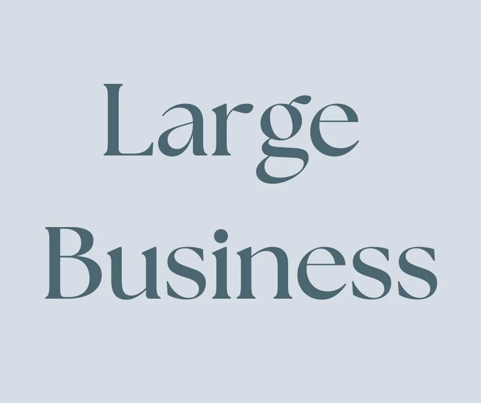 Large Business