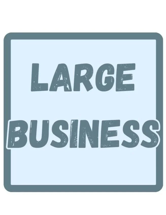 Large Business