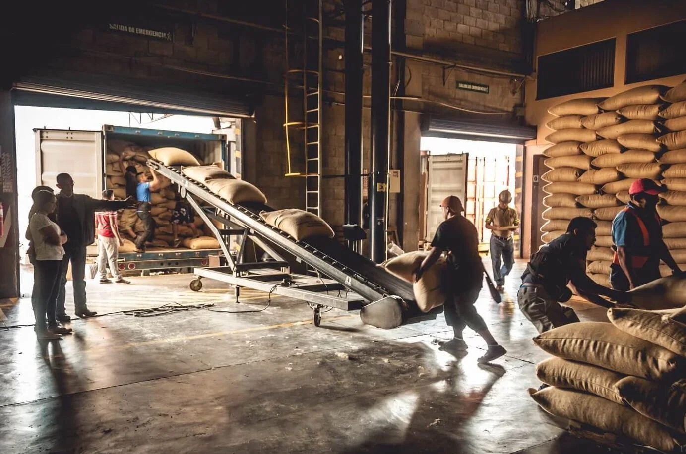 From Ottoman Palaces to Your Portafilter: Why Turkish Beans Deserve a Comeback