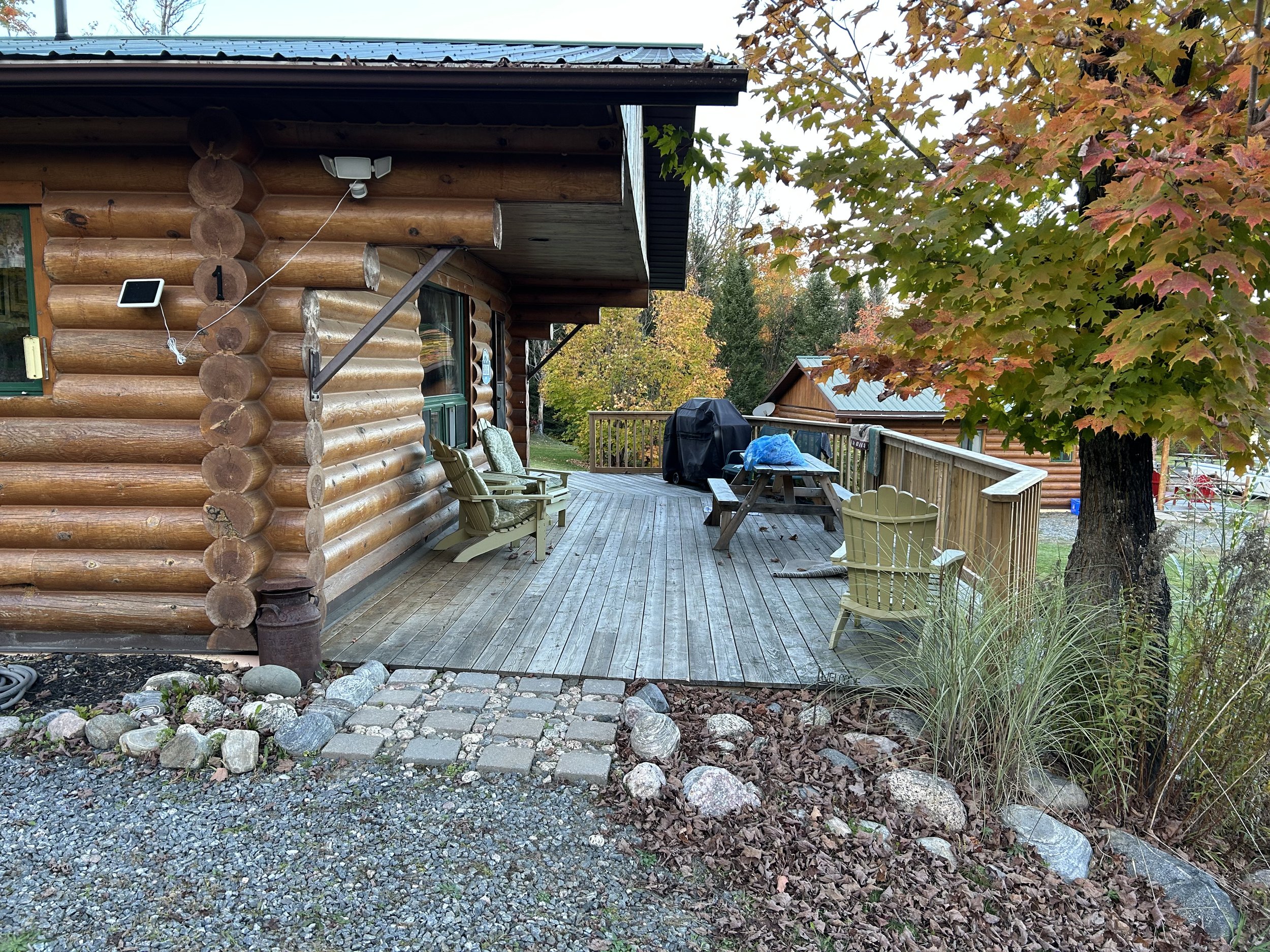 Oct 2024 Cabin 1 View from Driveway.jpeg