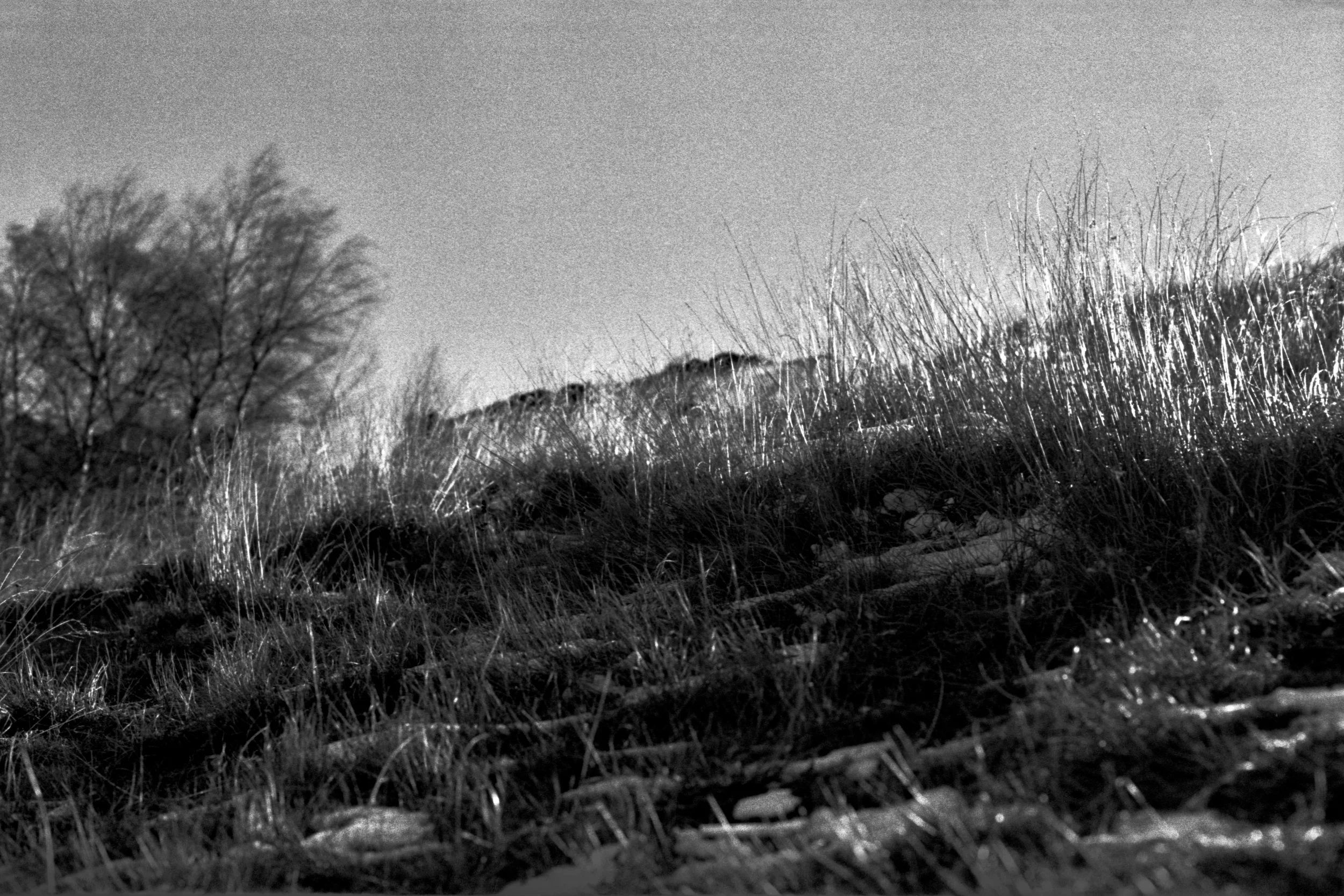 Vom Licht gestreift, 1999