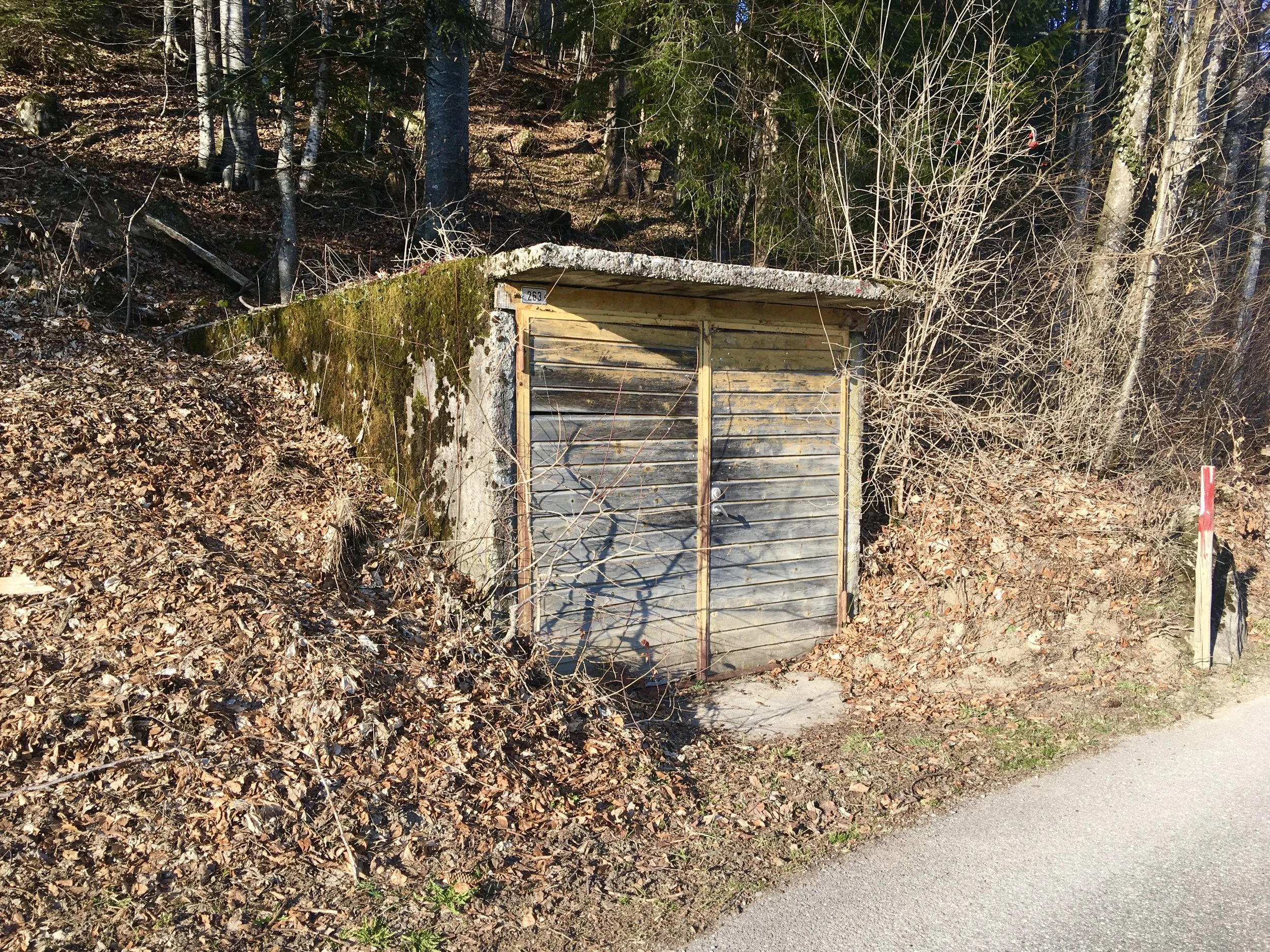 Nr. 097: 4. März 2022, Rieden, Gmde. Gommiswald (SG)