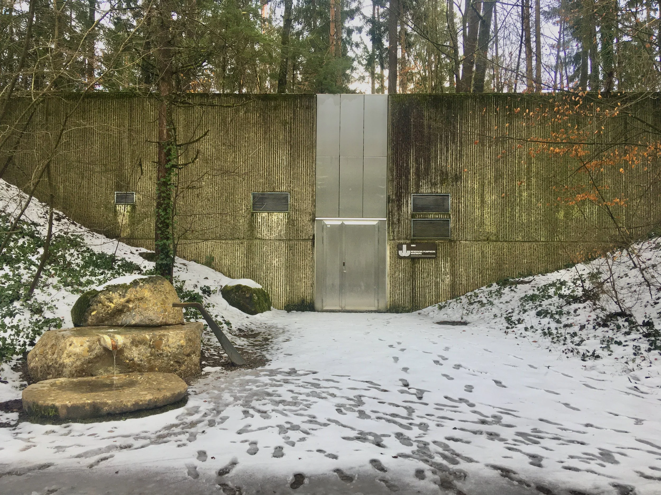 Nr. 142: 5. Januar 2025, Wasserreservoir Käferberg, Zürich