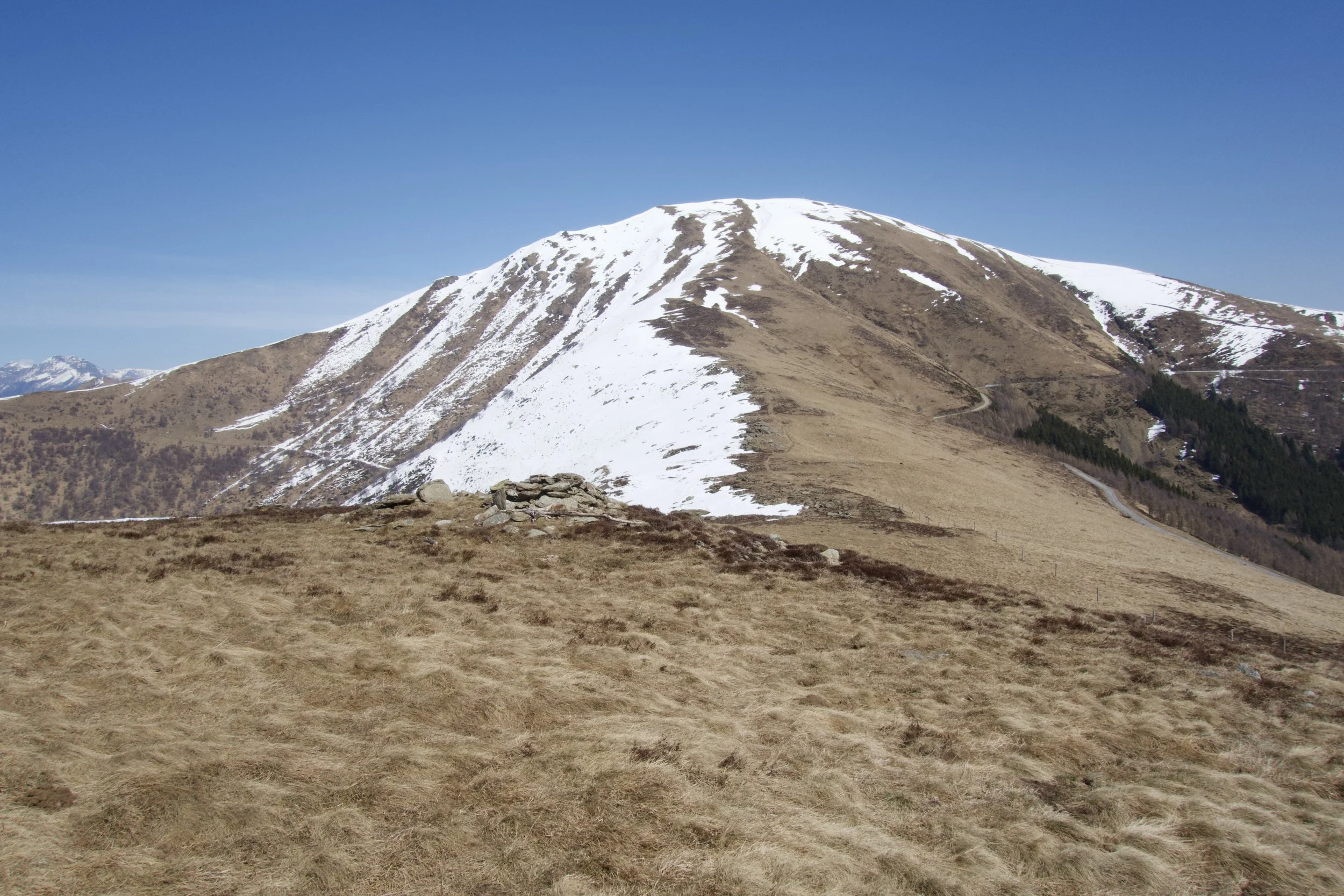 Monte Bar, April 2025