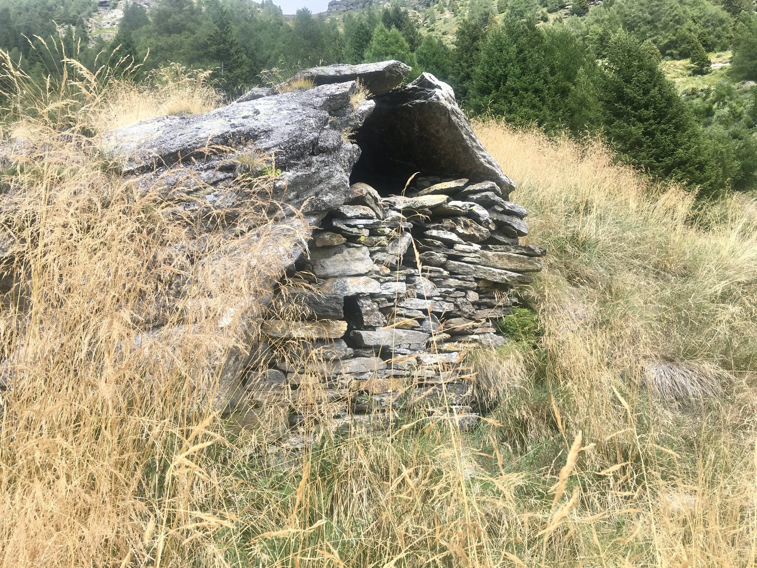 Nr. 117: 30. August 2023, Alpe di Gareresc, Patriziato di Claro, Gmde. Bellinzona (TI)