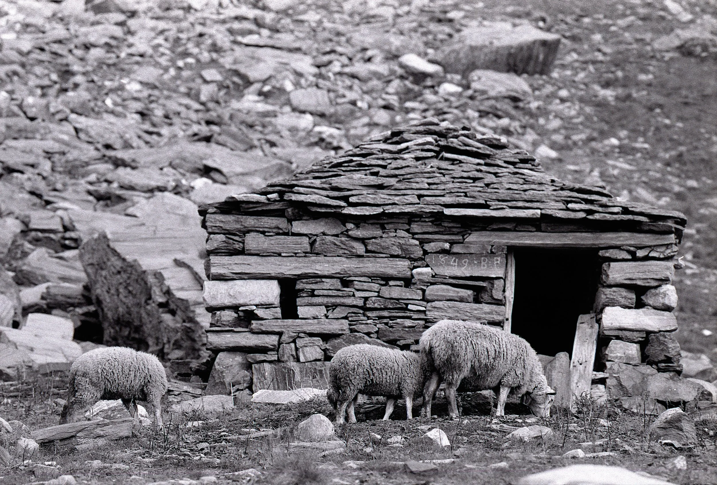 Nr. 111: ca. 1992, Alpe Rognoi, Gmde. Verzasca (TI)