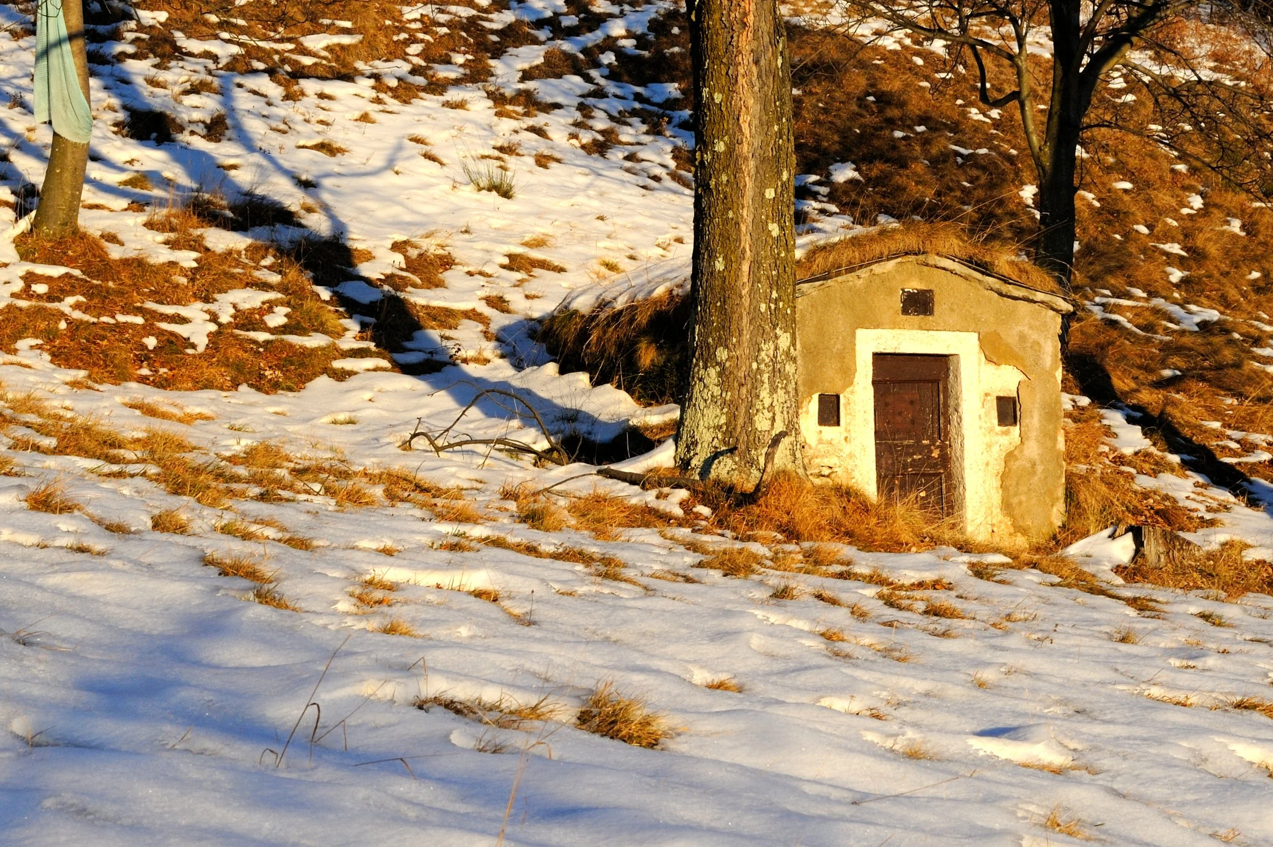 Nr. 023 b): 20. Dezember 2017, Capriasca (TI)
