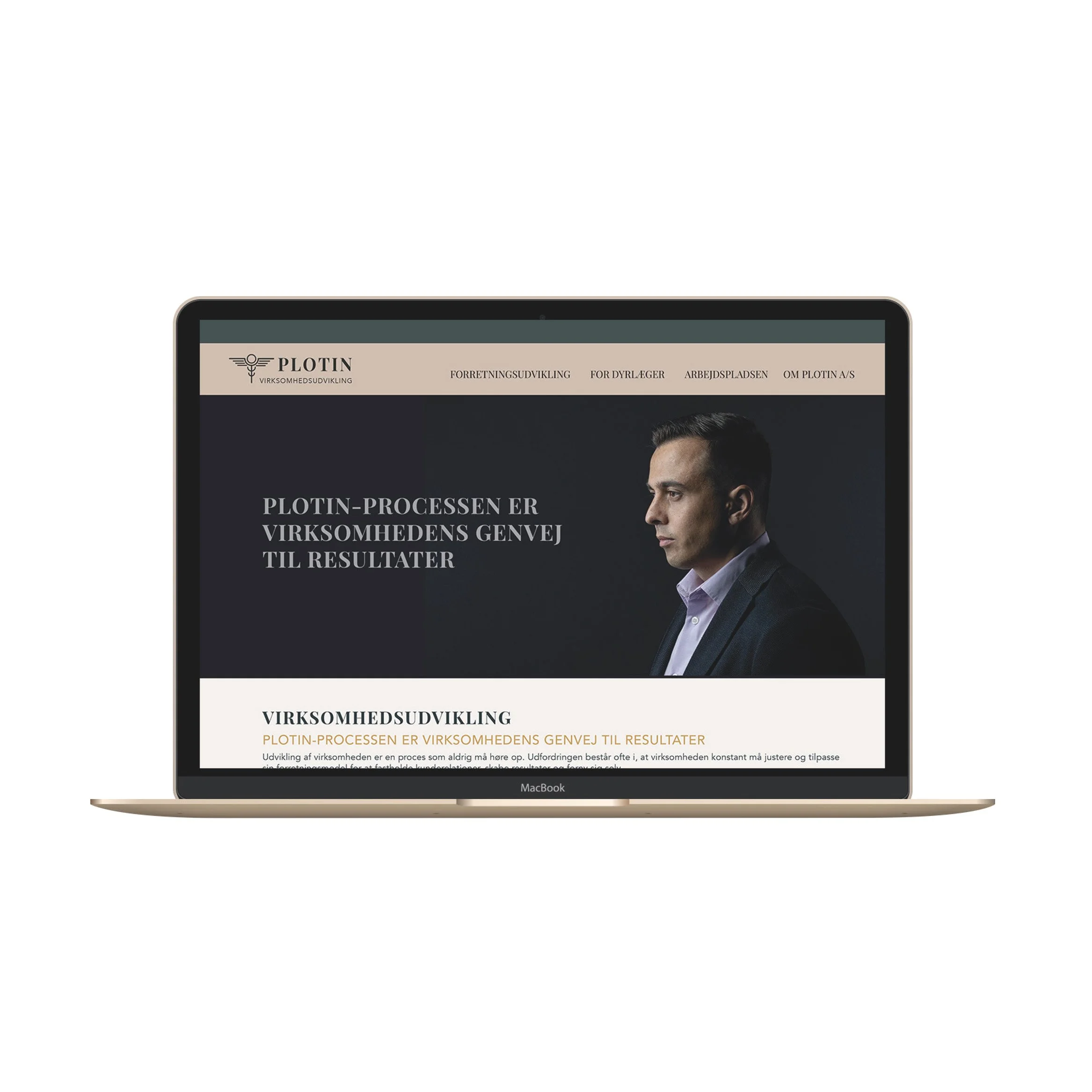 visuel identitet for Plotin Virksomhedsudvikling udarbejdet af designcoach Angela Lund