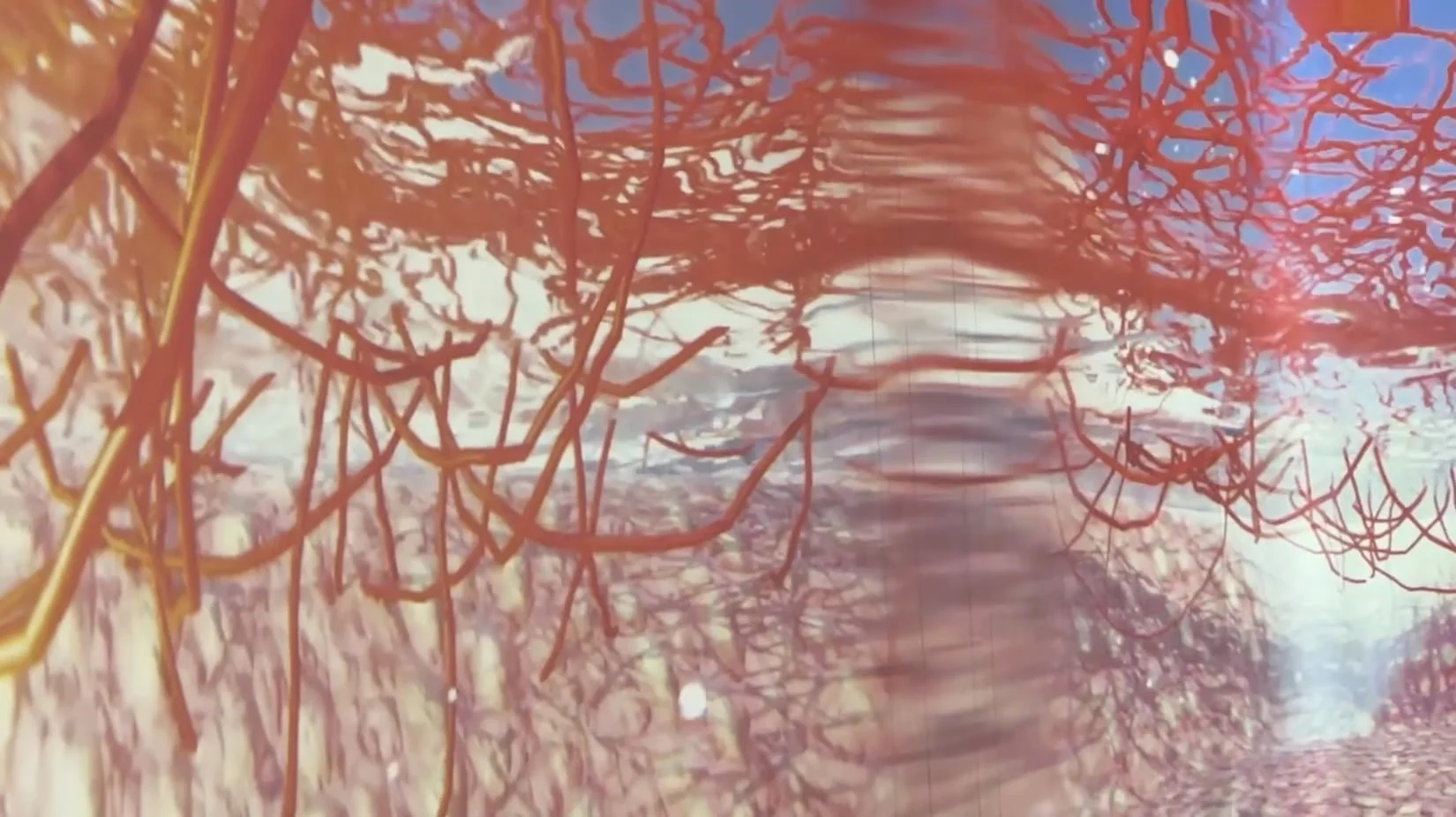 thumb-video.jpg