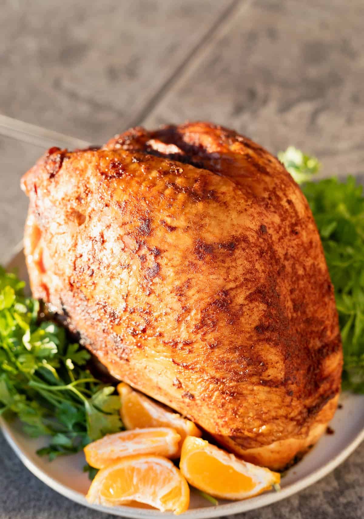 Smoked-Turkey-Breast-Recipe-Image-3.jpg