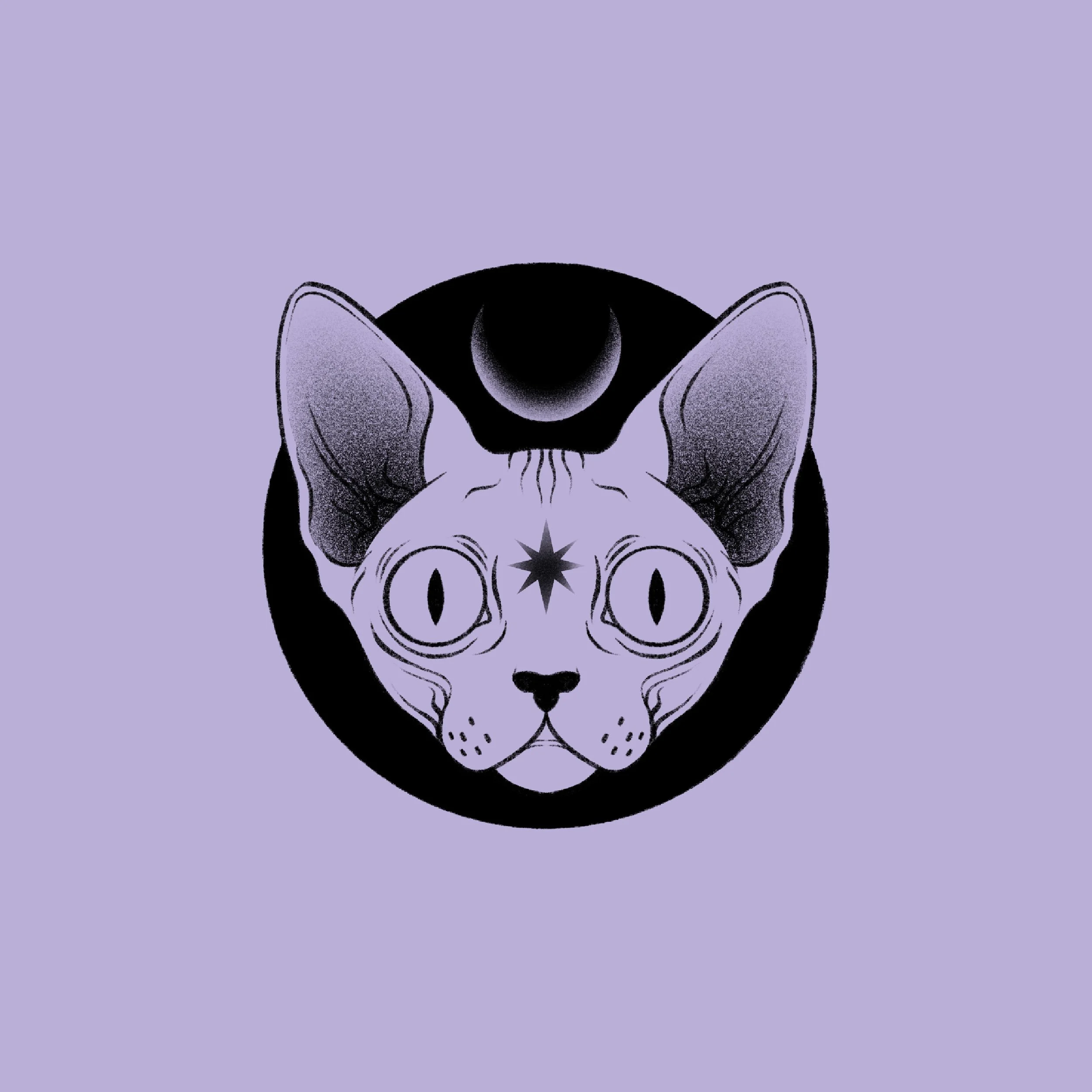 Illustration_sans_titre 7.jpg