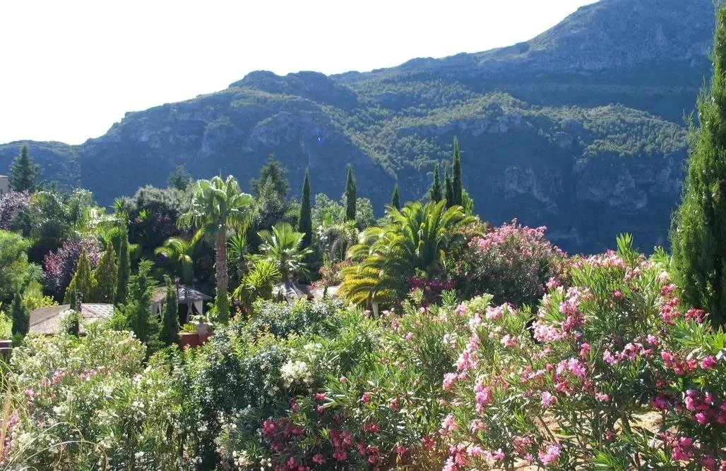 El Pinar de Nicola, Estepona (ES)