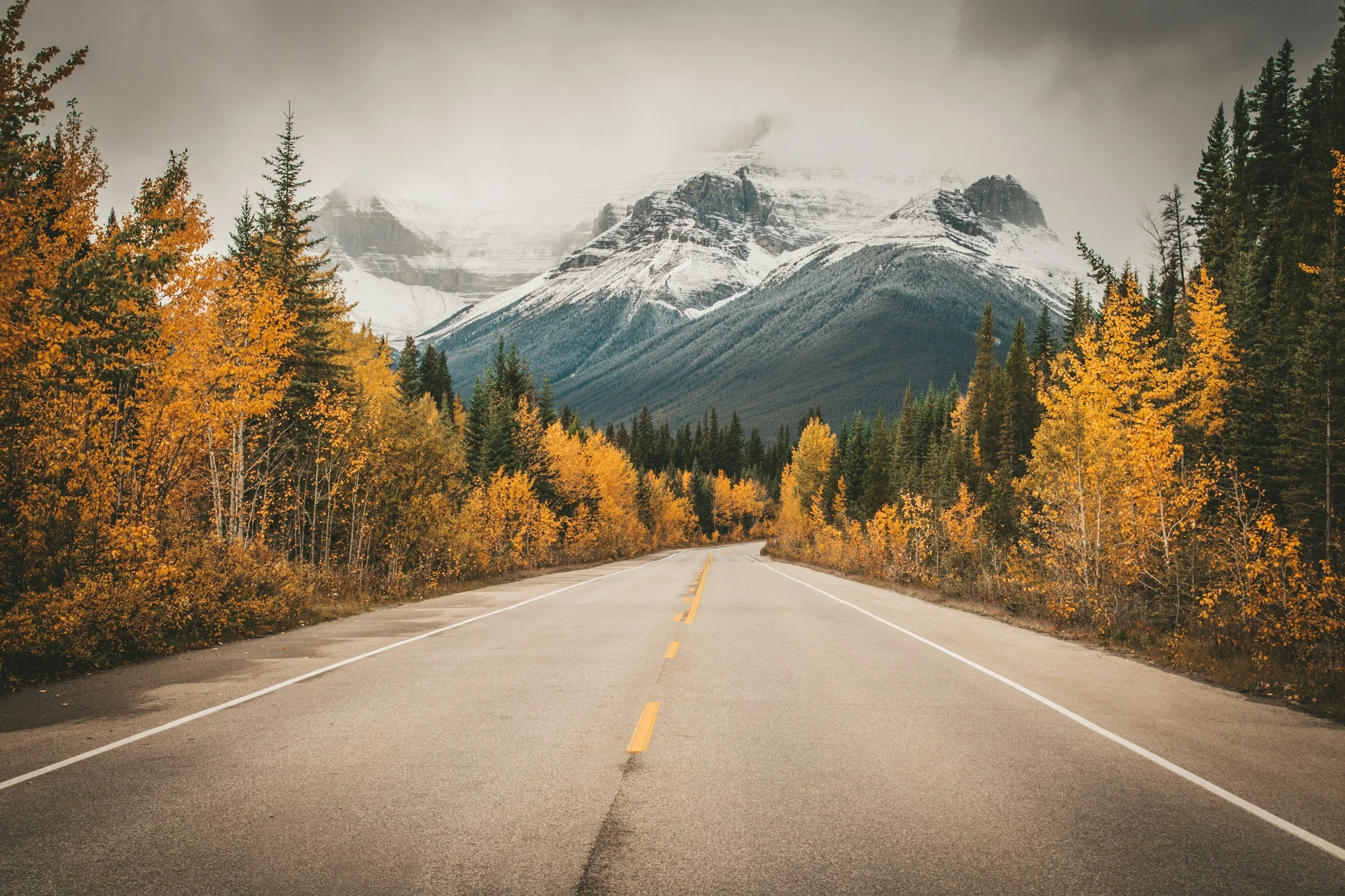 Empty road leading towards snow-capped mountains surrounded by fall-colored trees and dark, cloudy sky.