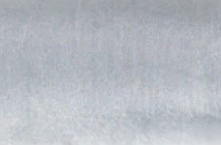 A blurry, light-colored background with no distinct objects or features
