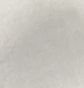 Plain light grey surface or wall