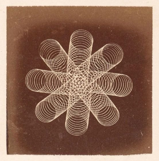 About — ERIKA ESET ROSE