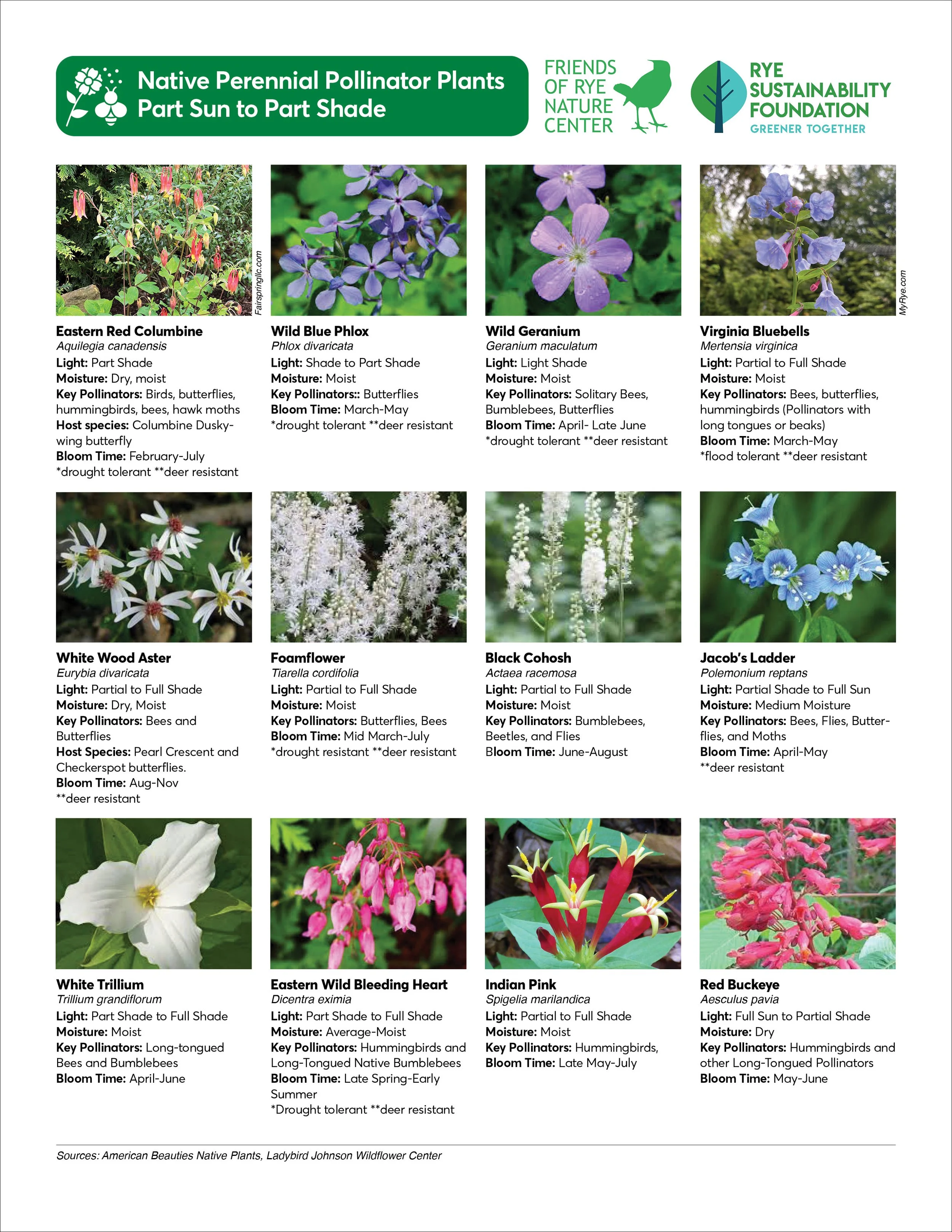 RNC RSF Pollinator Plant list2.jpg