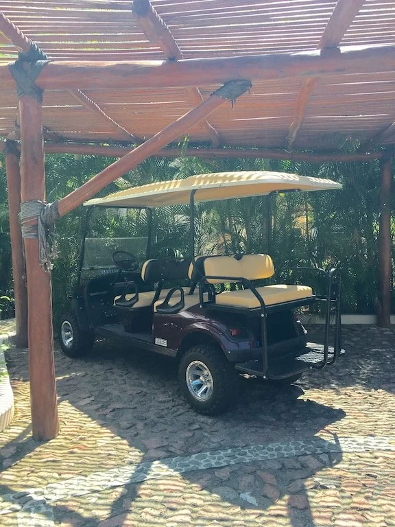 Golf cart.jpg