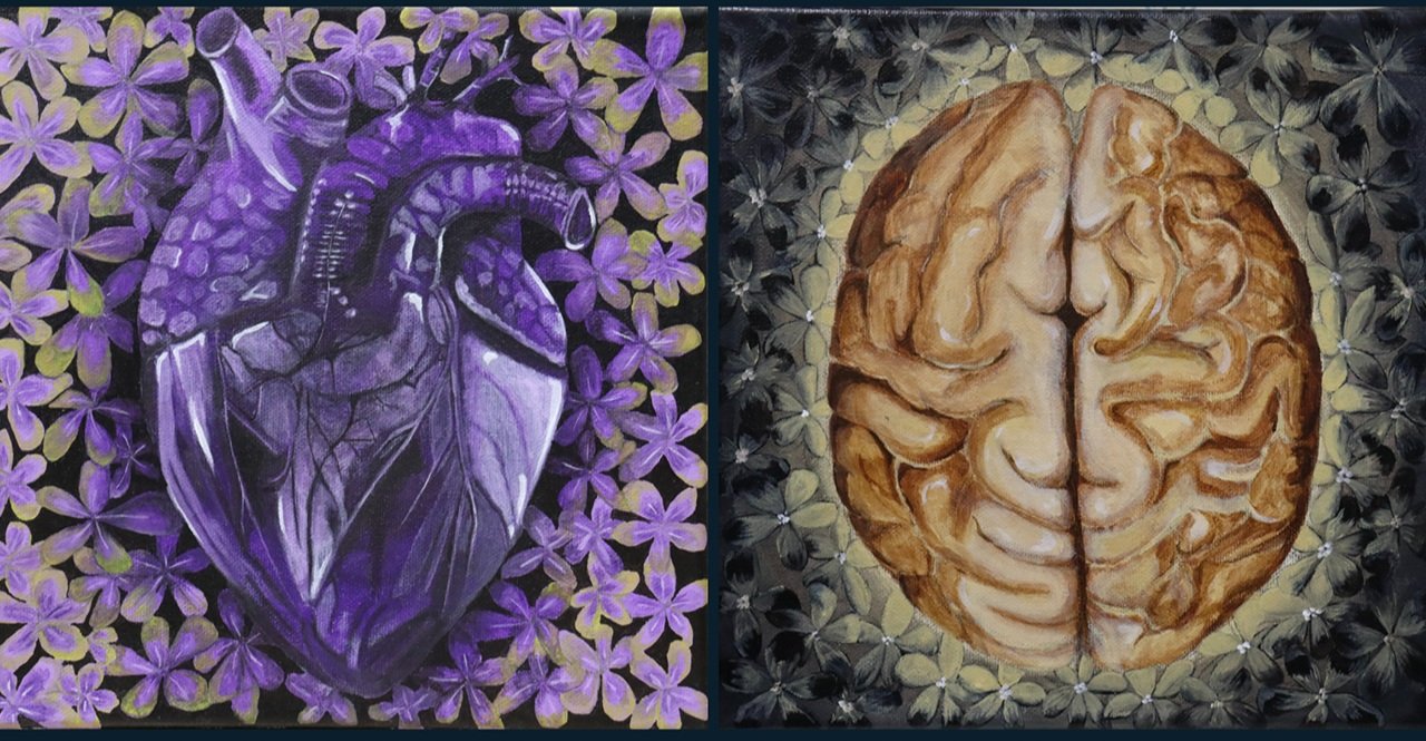 Emotions & Cerebration