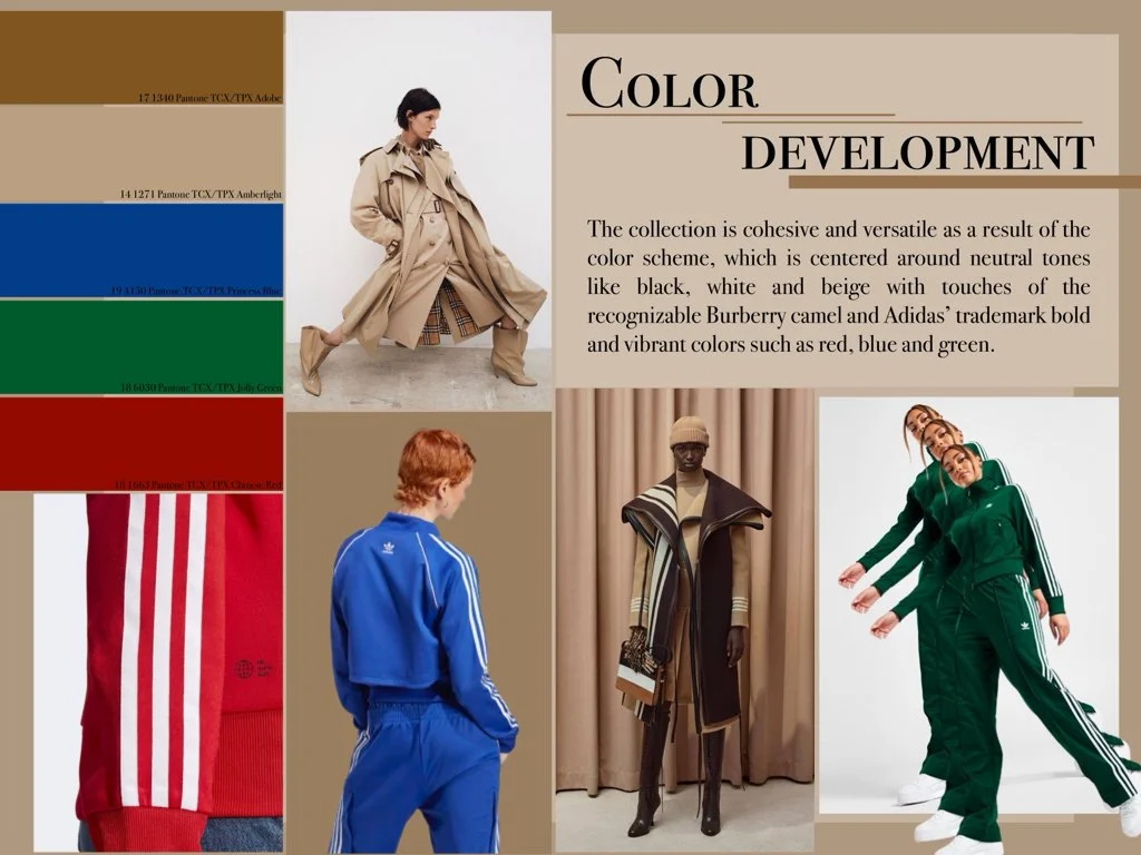 Final Project copy.007.jpeg