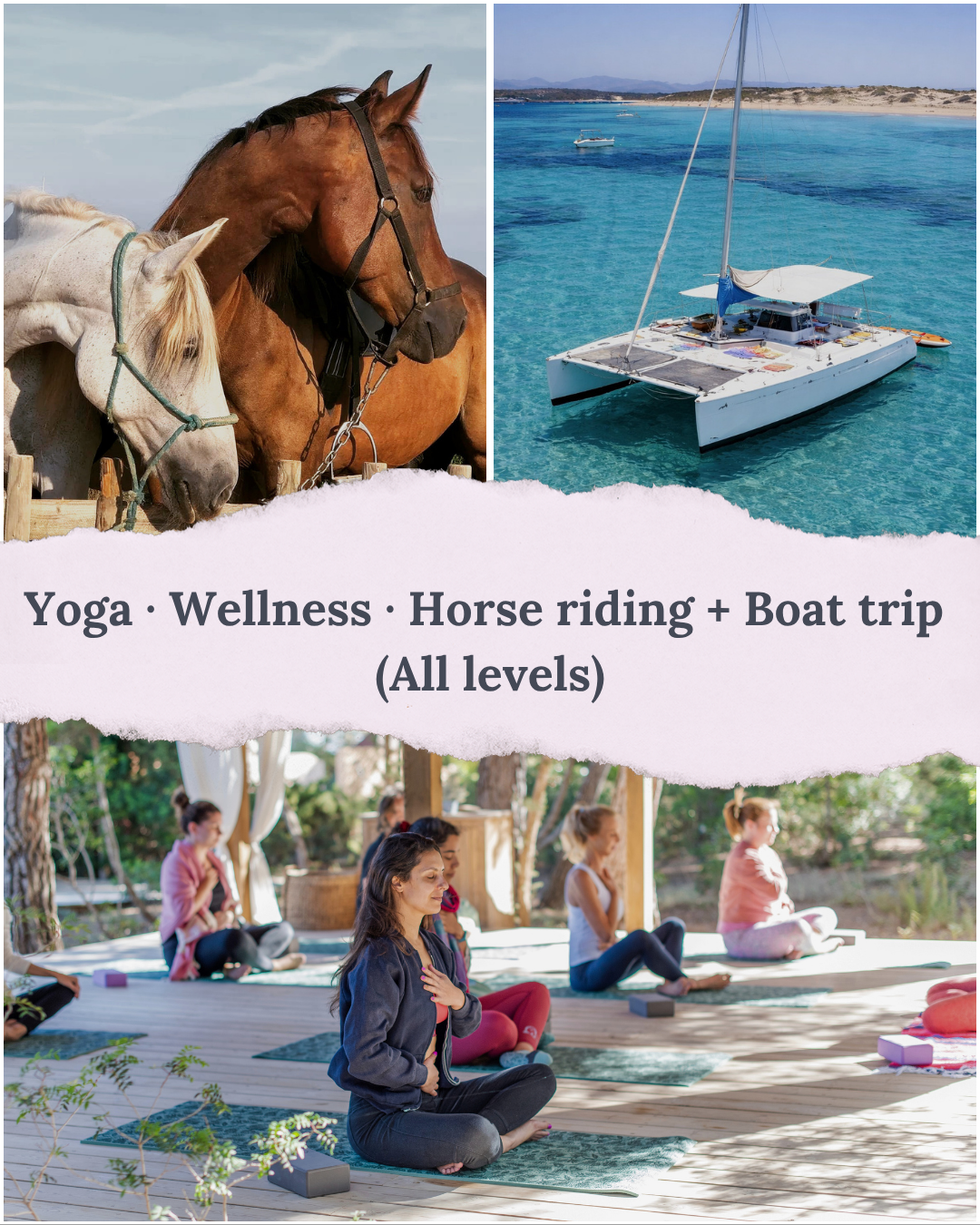 Image showing a collage of activities: horses grazing, a boat on the water, and people practicing yoga outdoors. Text overlay promotes yoga, wellness, horse riding, and boat trips for all levels.