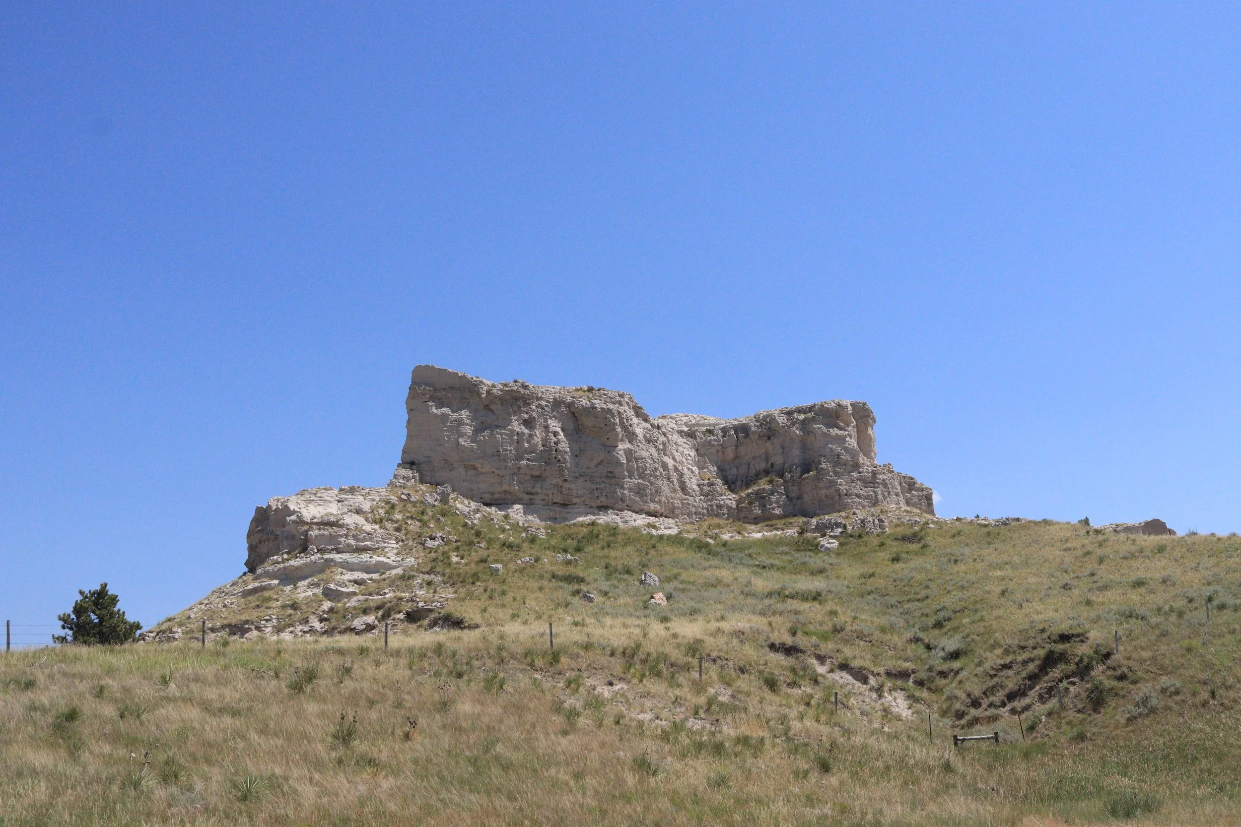 IMG_6872 copy.JPG