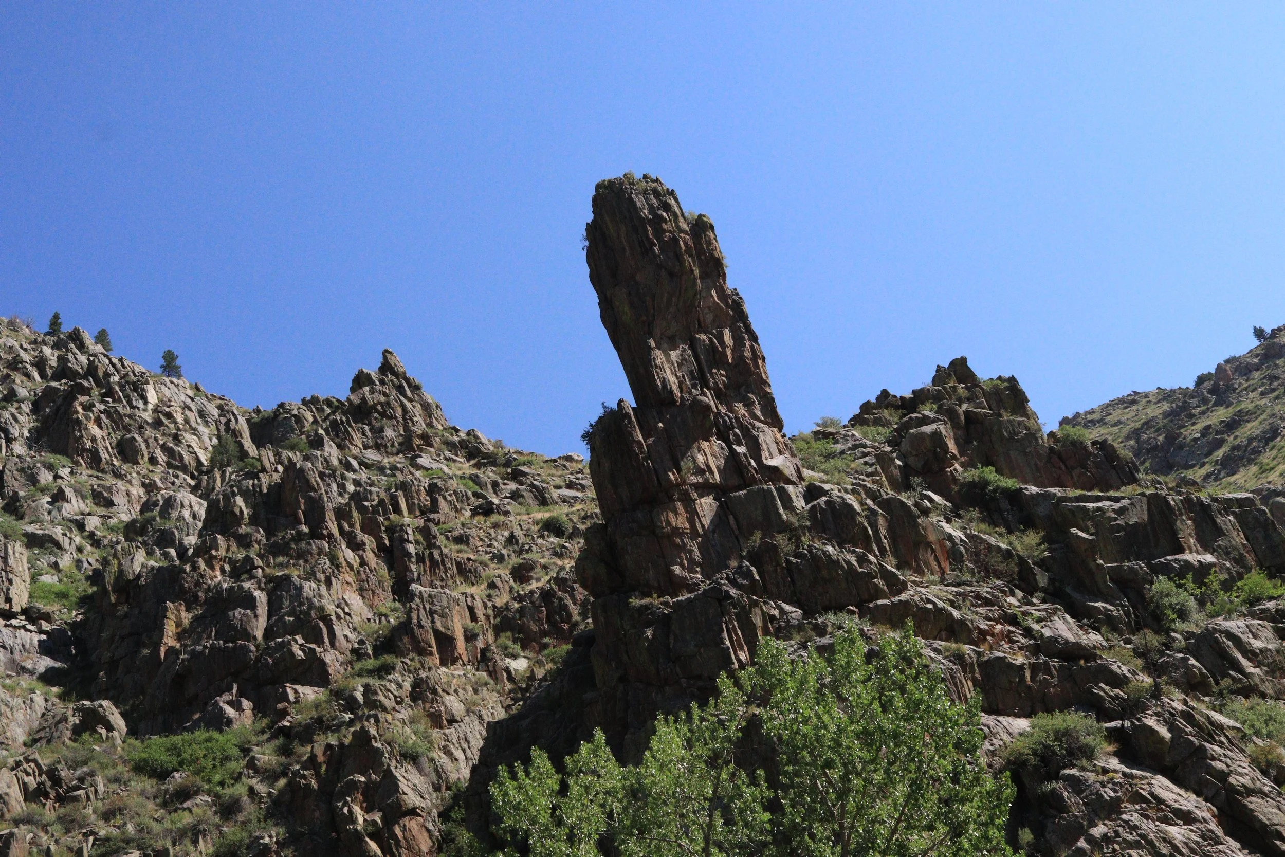 IMG_6886 copy.JPG