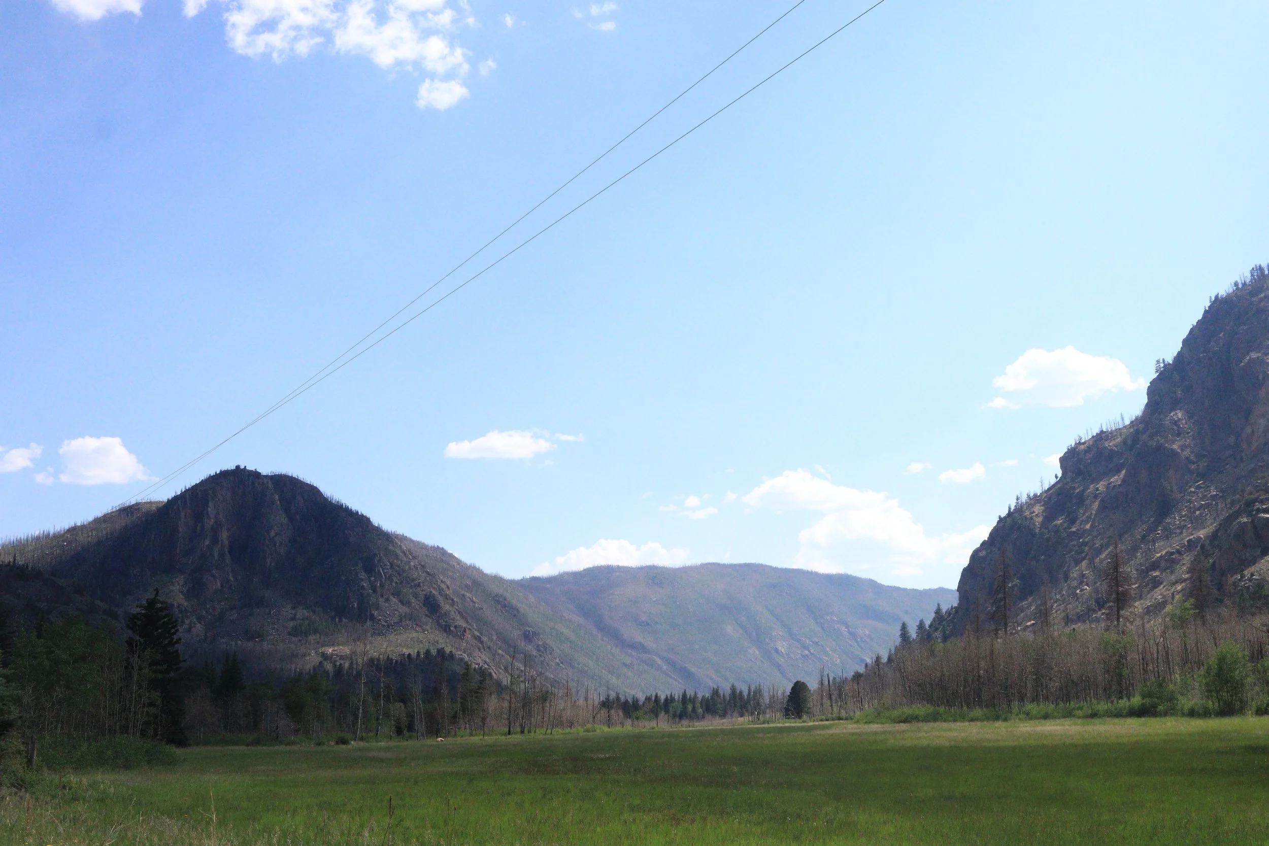 IMG_6901 copy.JPG