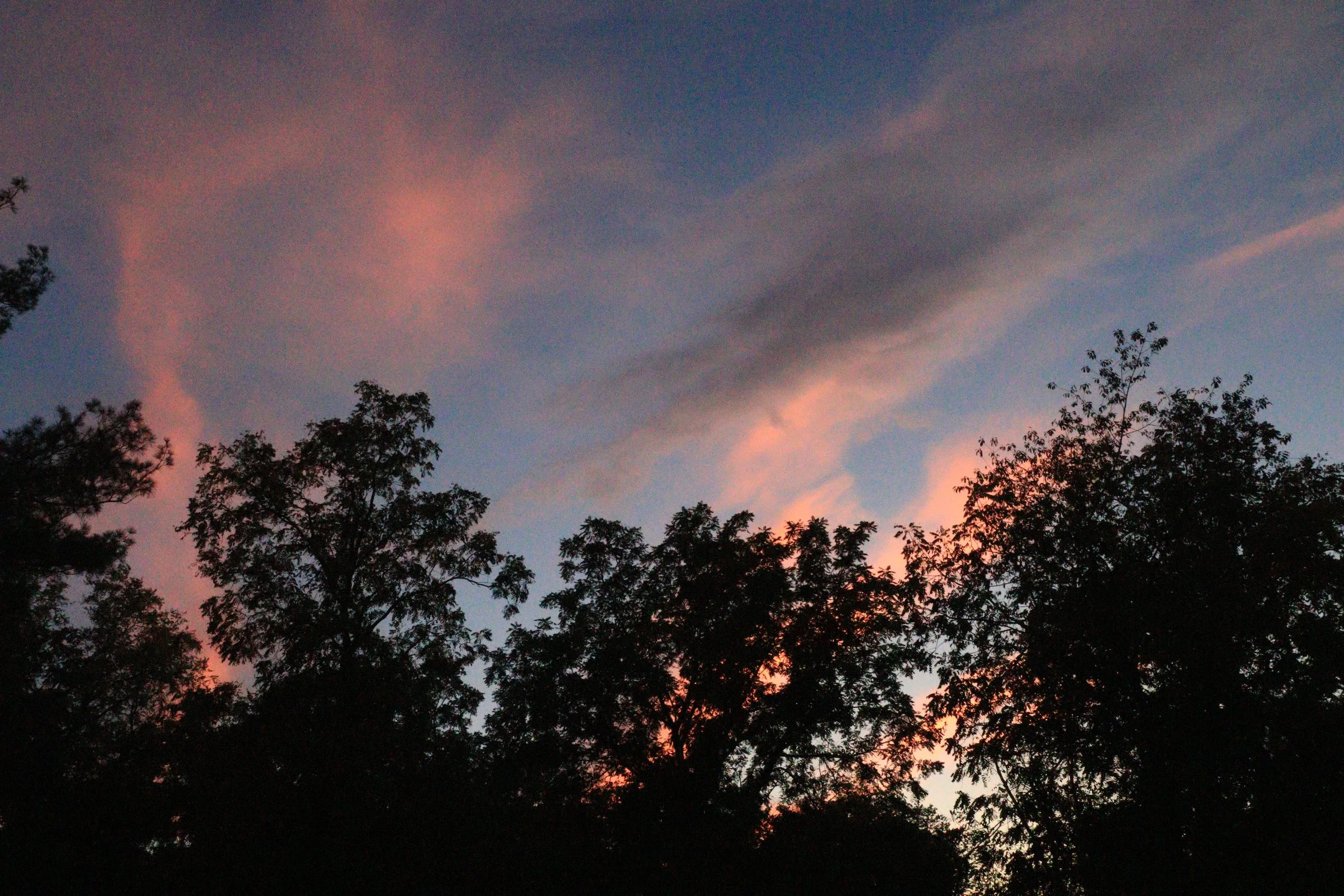 IMG_5341 copy.JPG