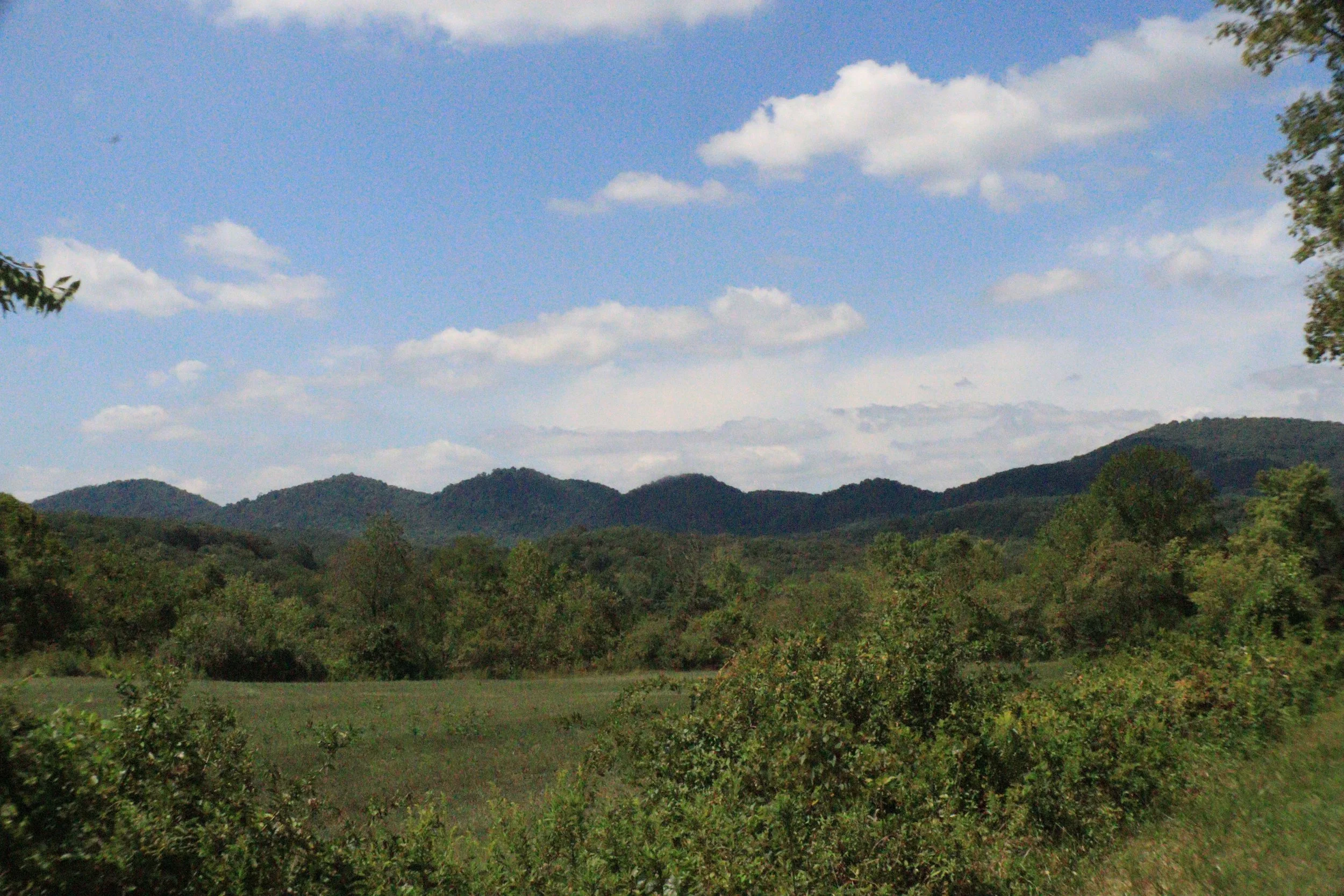 01042023_6.JPG