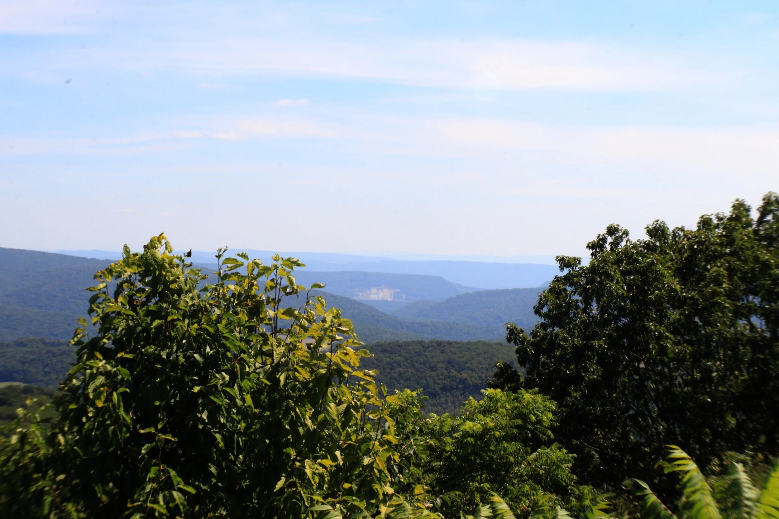 07062023_3 copy.JPG