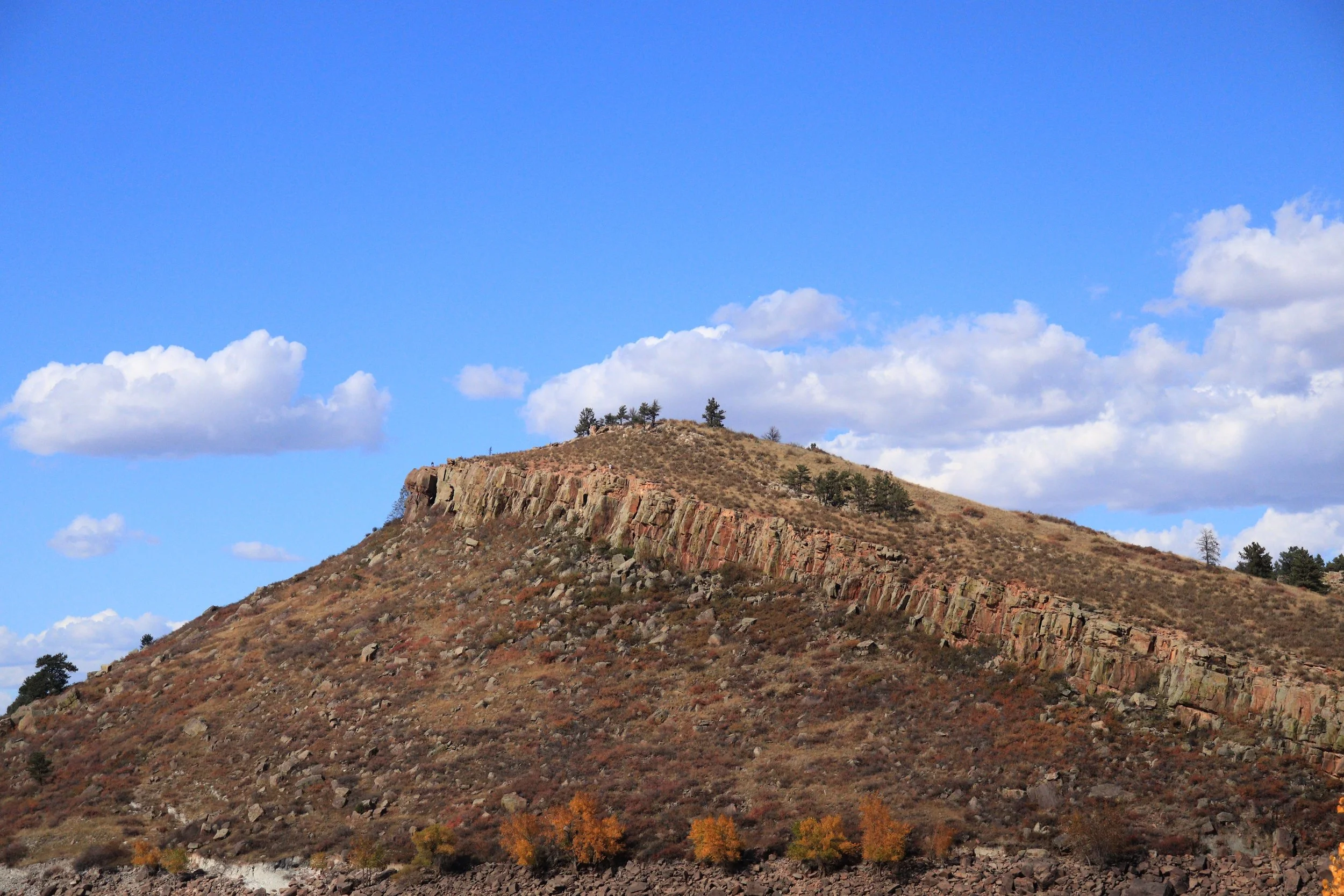IMG_5446 copy.JPG
