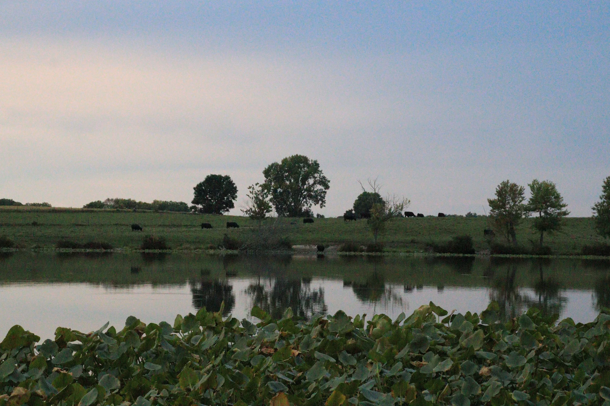 IMG_5328 copy.JPG
