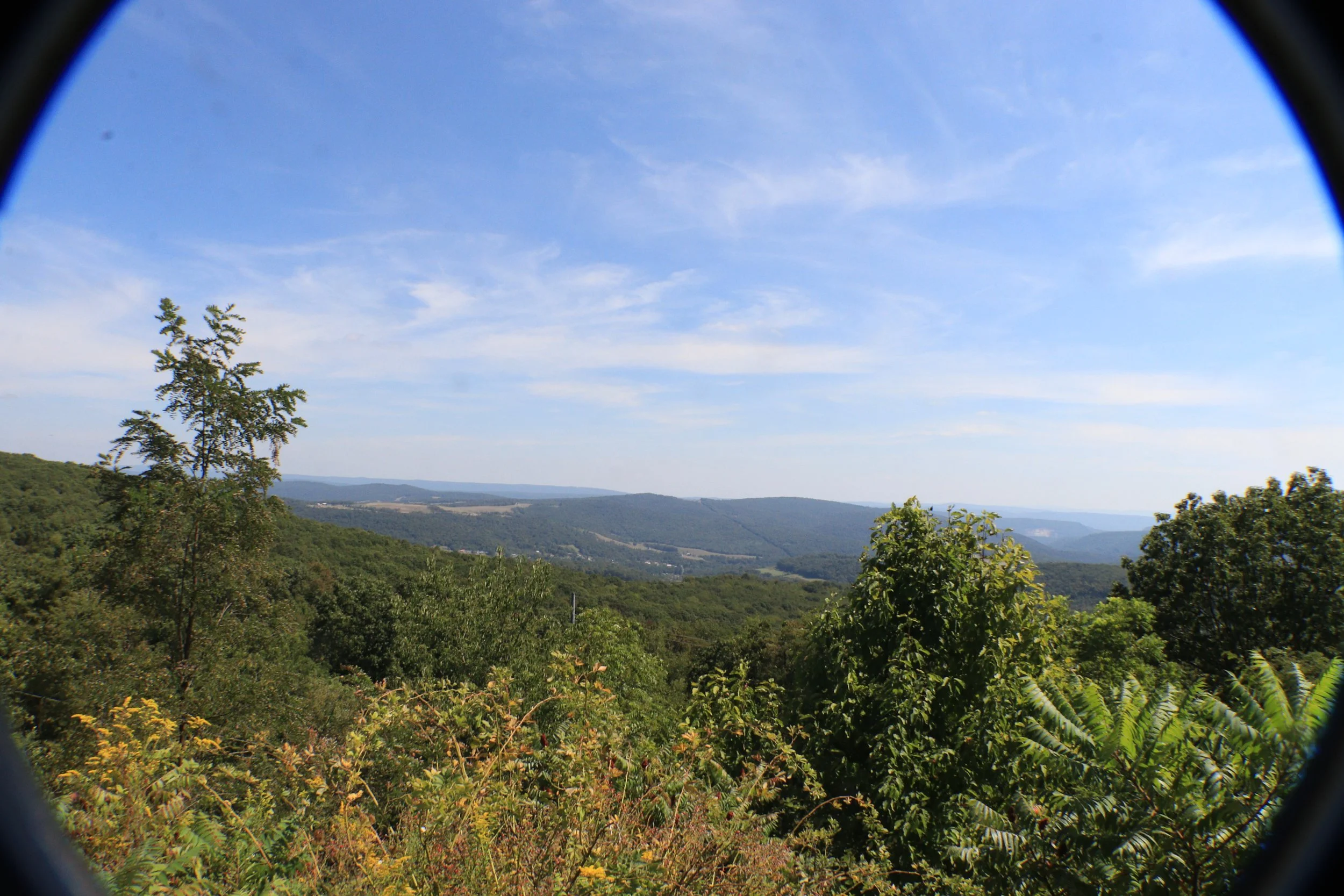 IMG_5193 copy.JPG